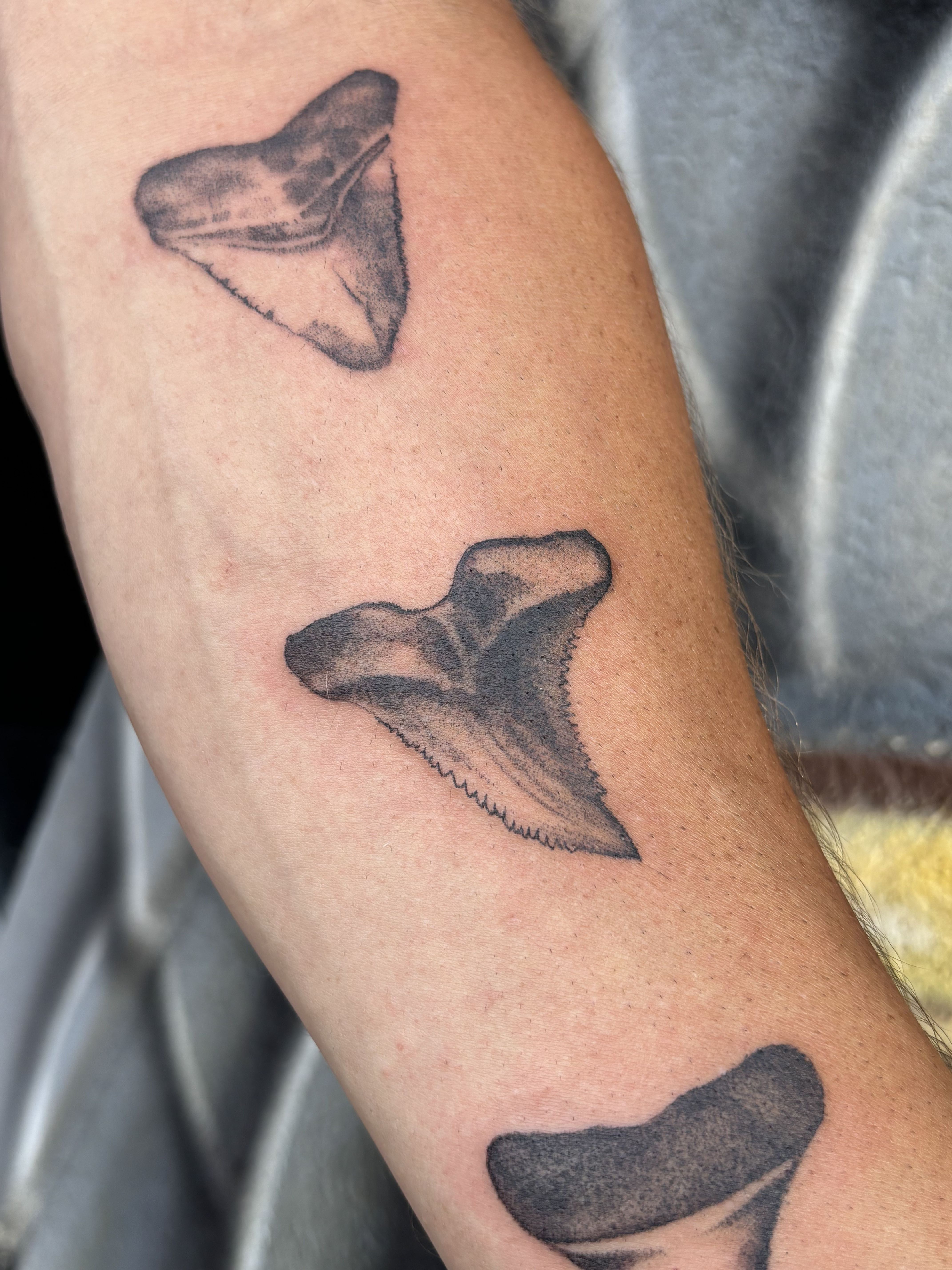  for Devil's Luck Tattoo Collective in Chicago, IL
