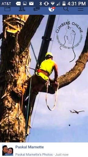 All Photos for Buffalo Family Tree Care in Buffalo, MN