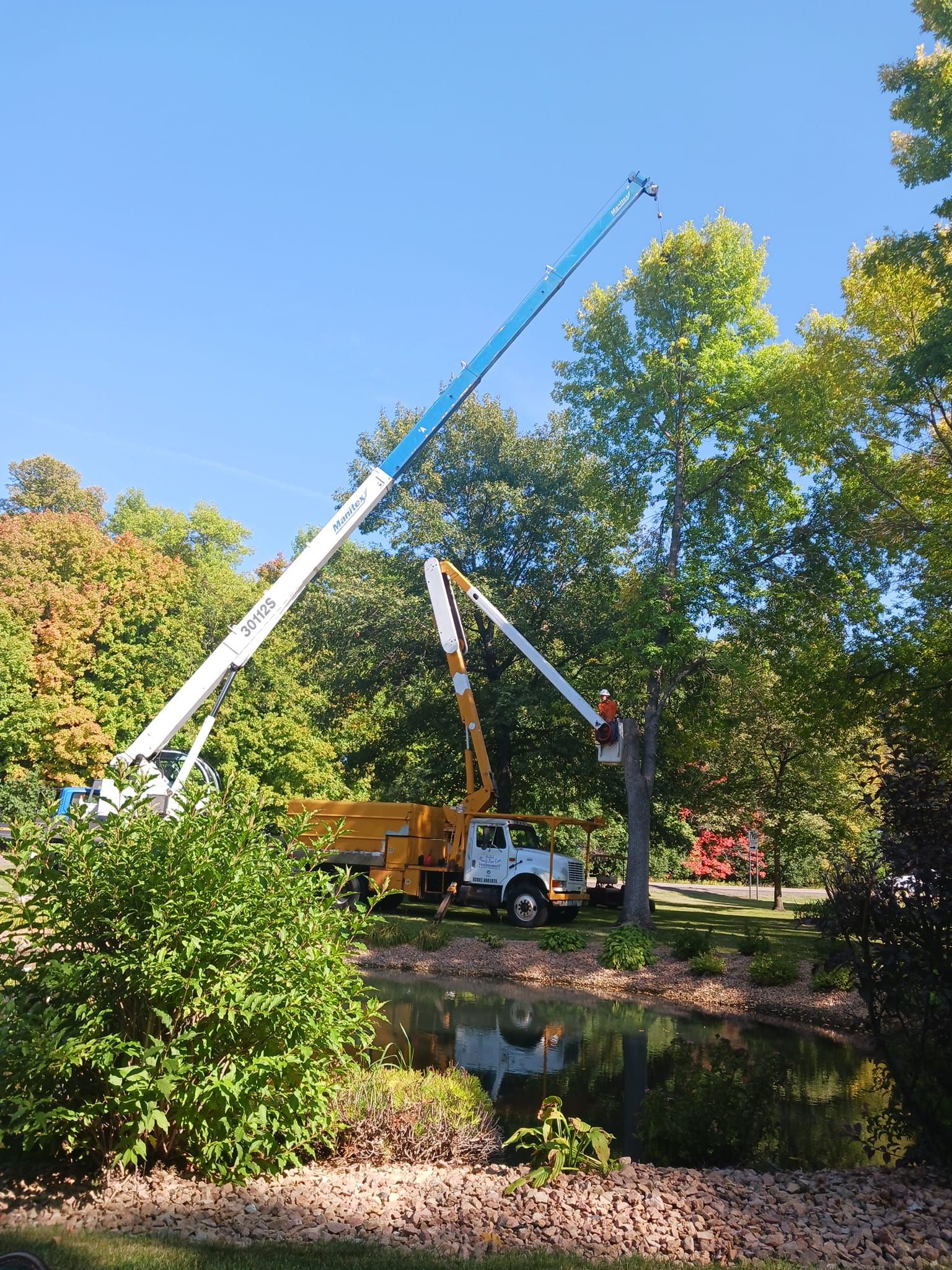 Tree Removal for Buffalo Family Tree Care in Buffalo, MN