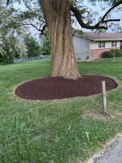  for Cena Landscaping in Rockford, IL