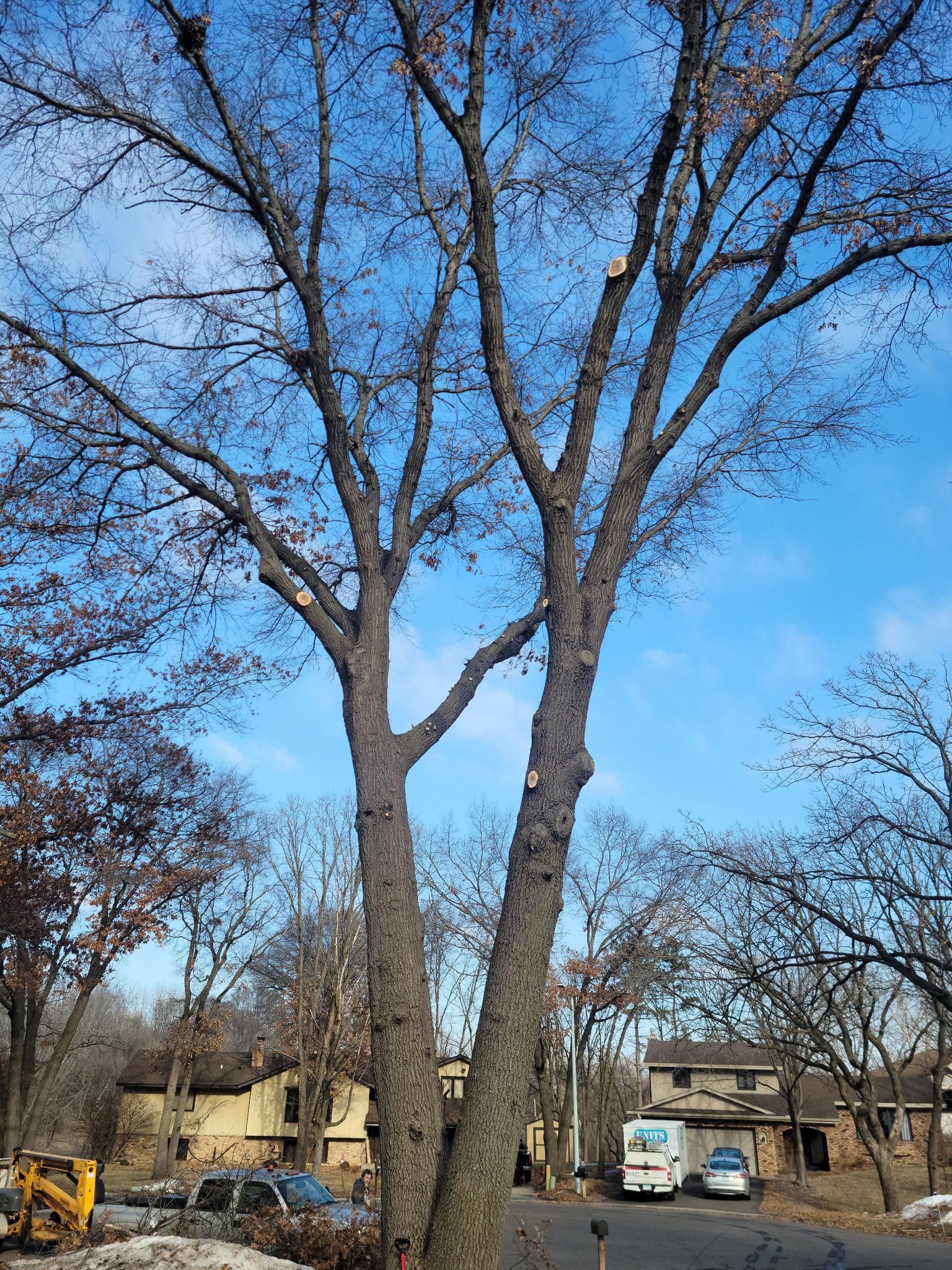 All Photos for K and Z Tree Care in Isanti County, MN