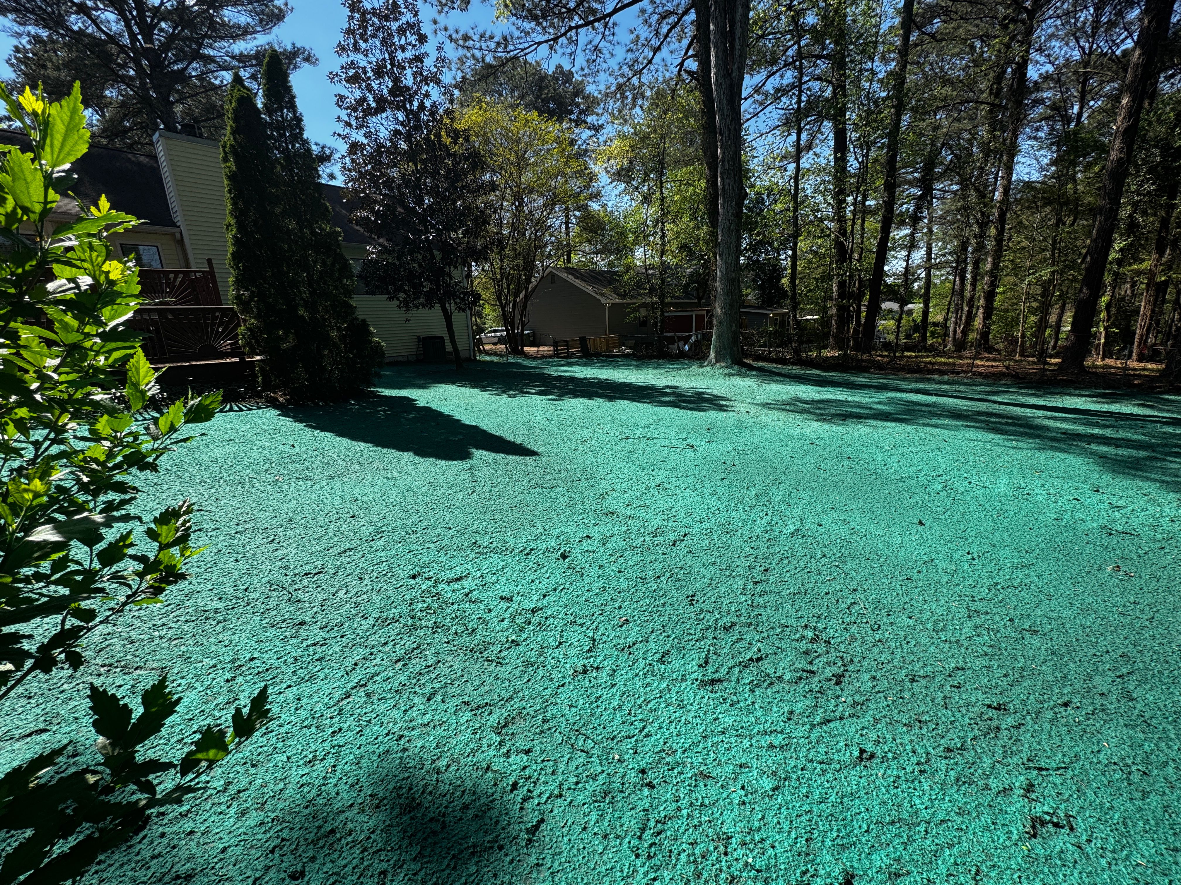 All Photos for Deeply Rooted Lawns – Hydroseeding & Sod Installation Services in Winder, GA