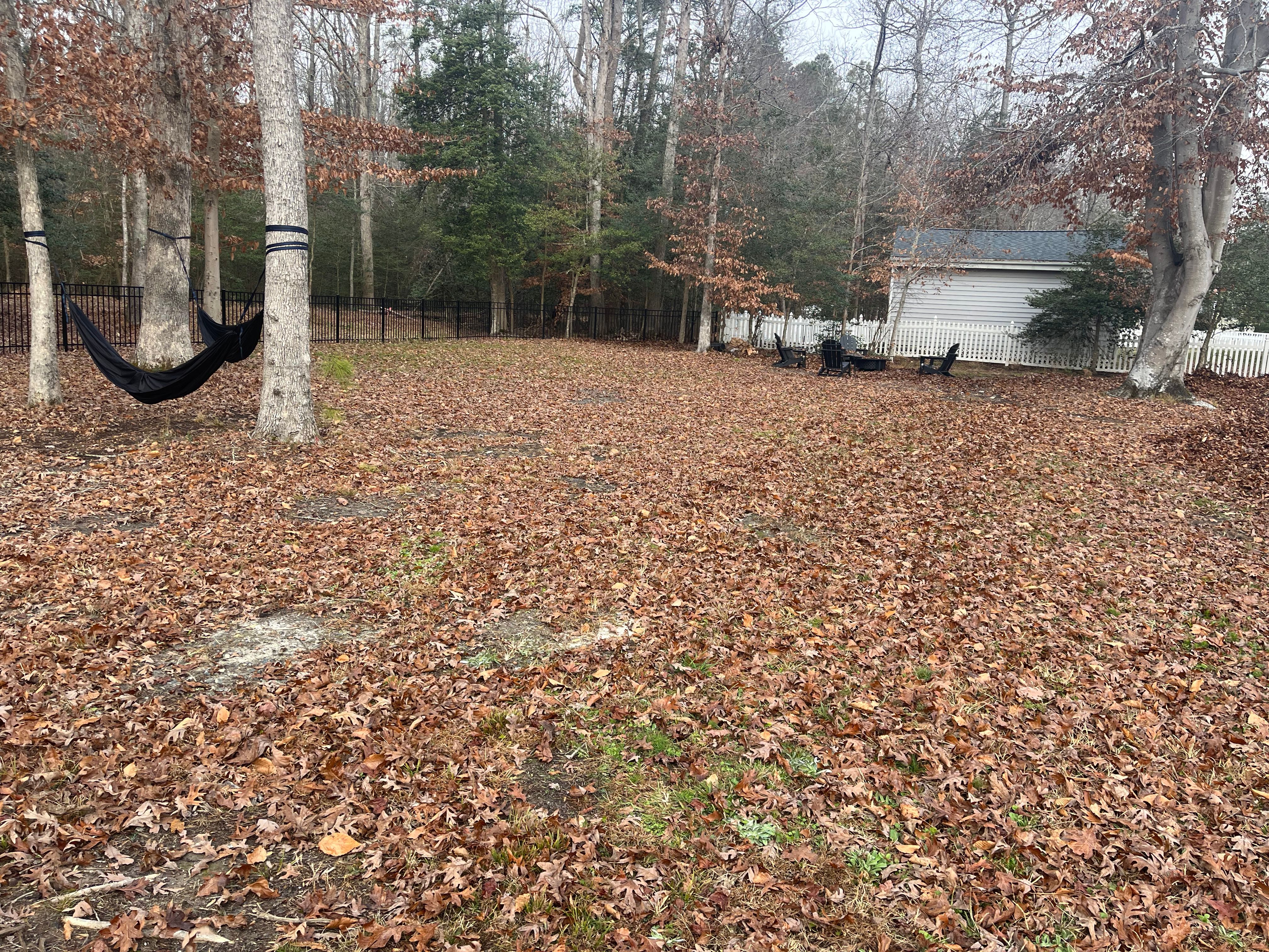  for Atlas Home Services in Mechanicsville, VA