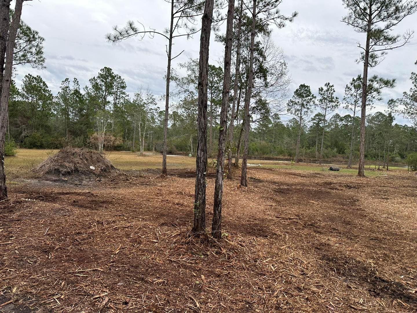  for White’s Land Maintenance in Milton,, FL