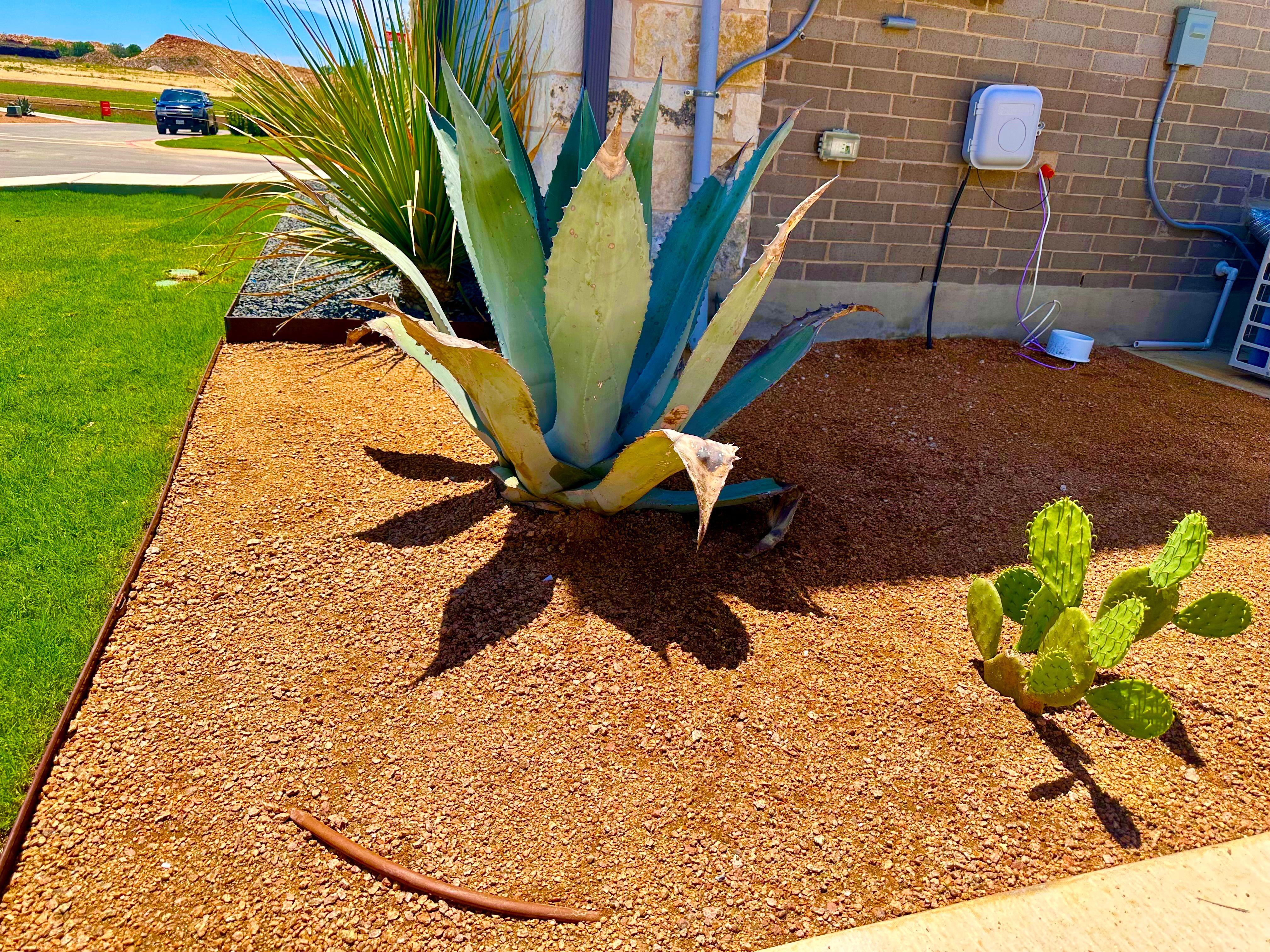 for Chavira Landscape & Irrigation in Austin, TX