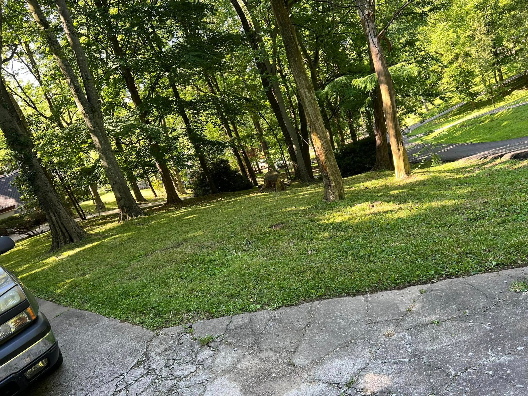  for New Outlook Lawncare in Henderson County, KY