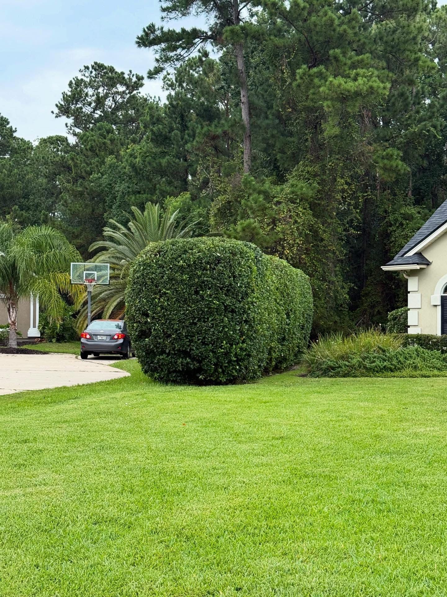  for Whole 9 Yards Services in Green Cove Springs, FL