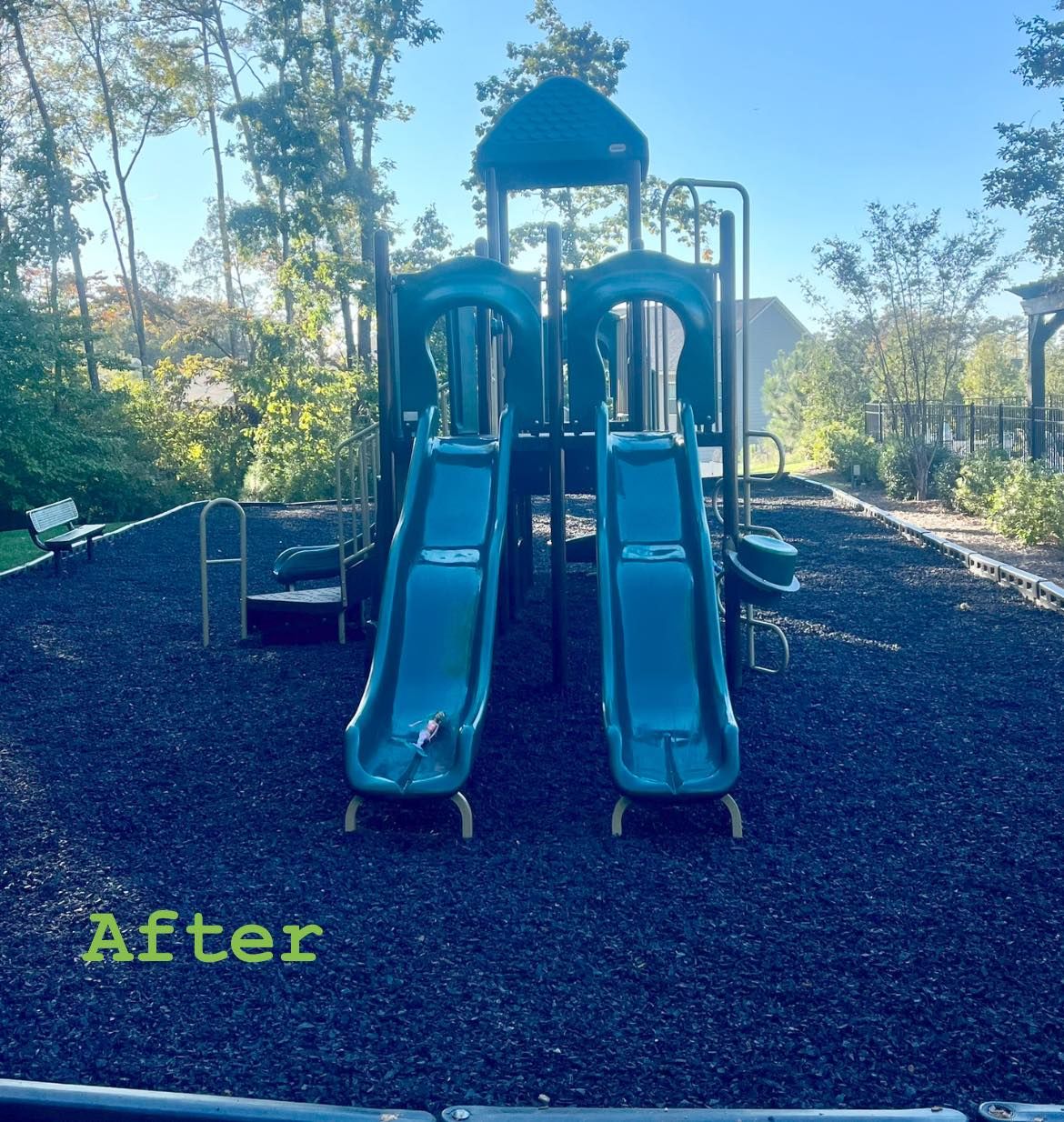  for Pecina Pine Needles in Monroe, NC