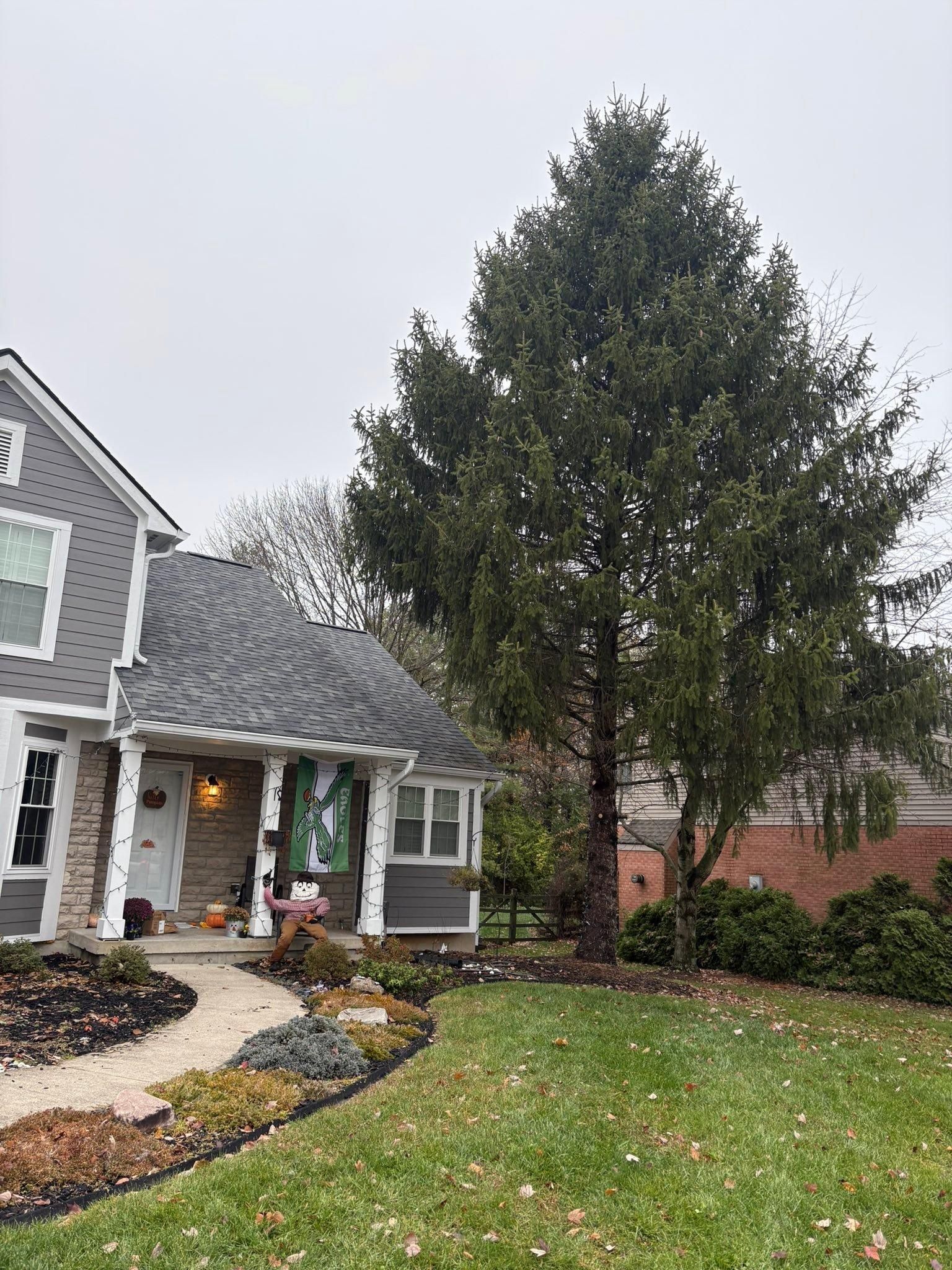  for Dig-It Tree Company in Mason, OH