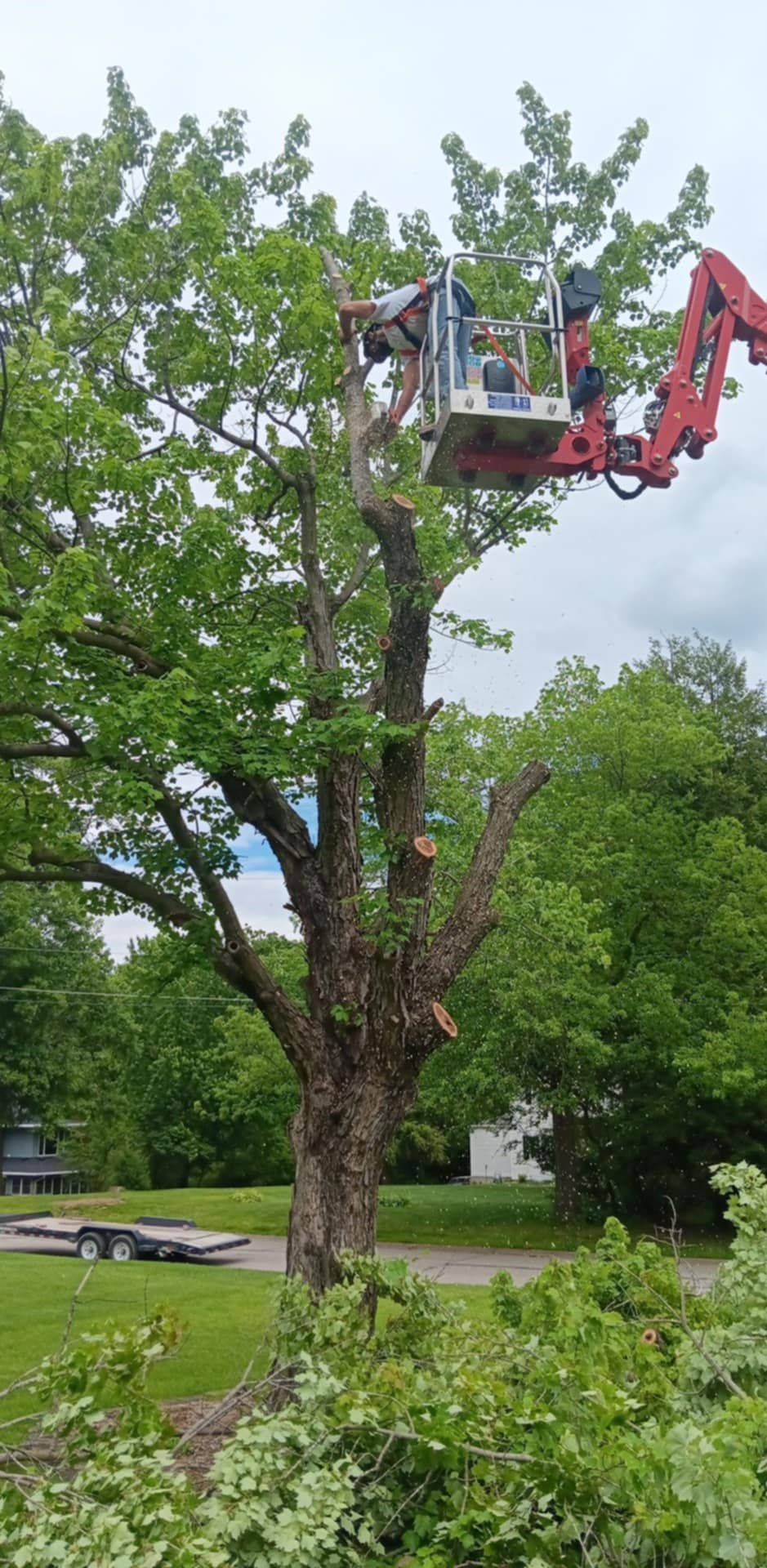  for Lawn Ranger Yard And Tree Service LLC in Ottumwa, IA