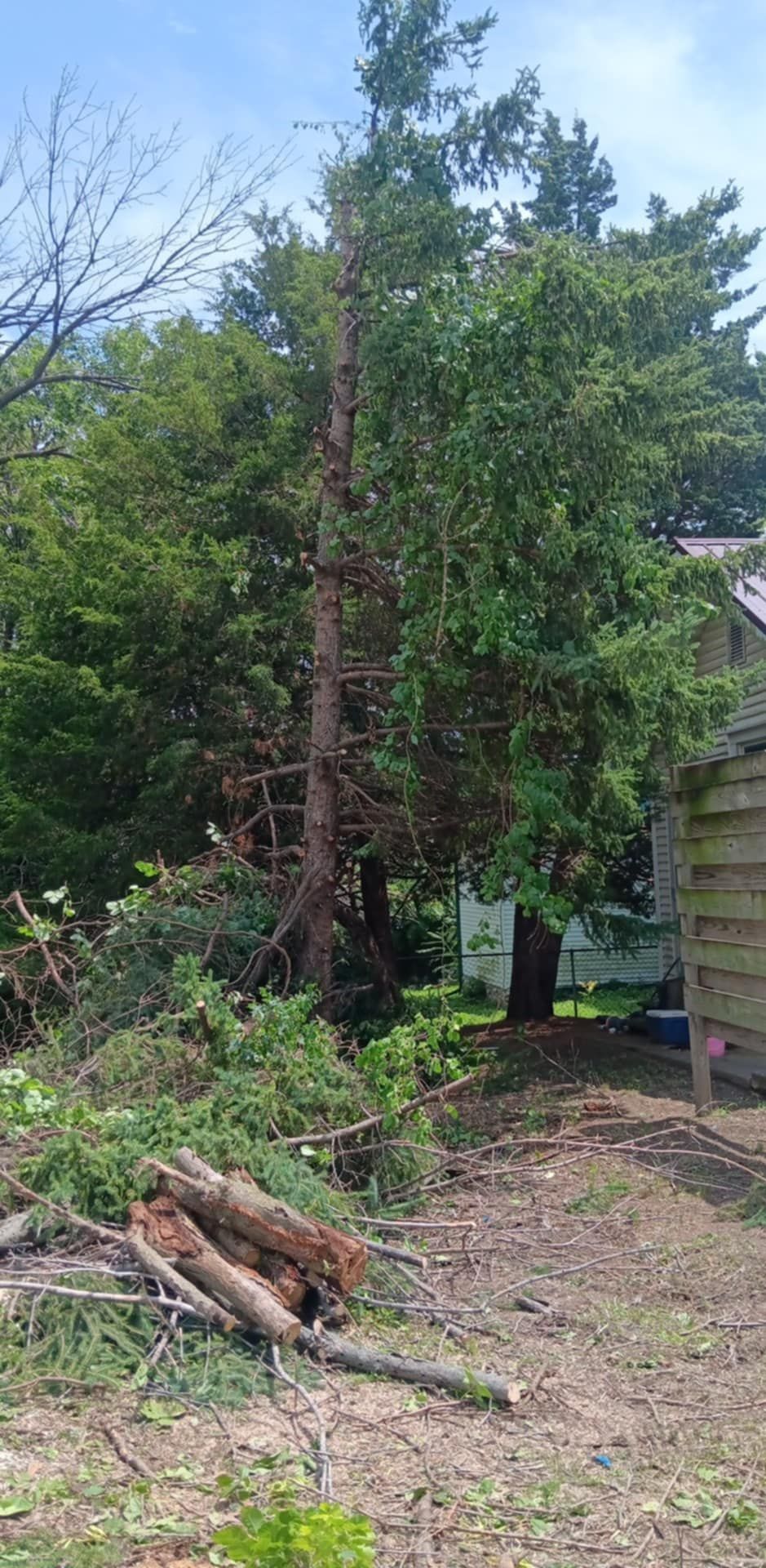  for Lawn Ranger Yard And Tree Service LLC in Ottumwa, IA