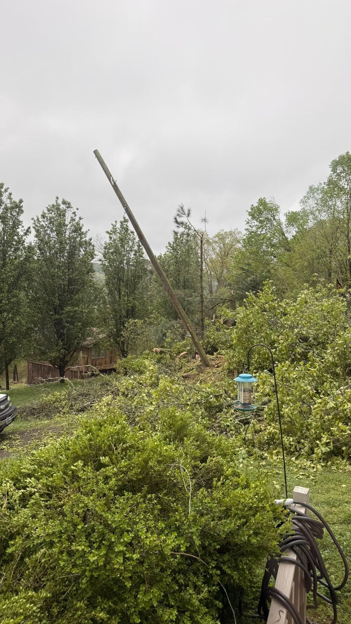  for Chipper's Tree Service  in Fort Payne, AL