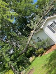  for Chipper's Tree Service  in Fort Payne, AL