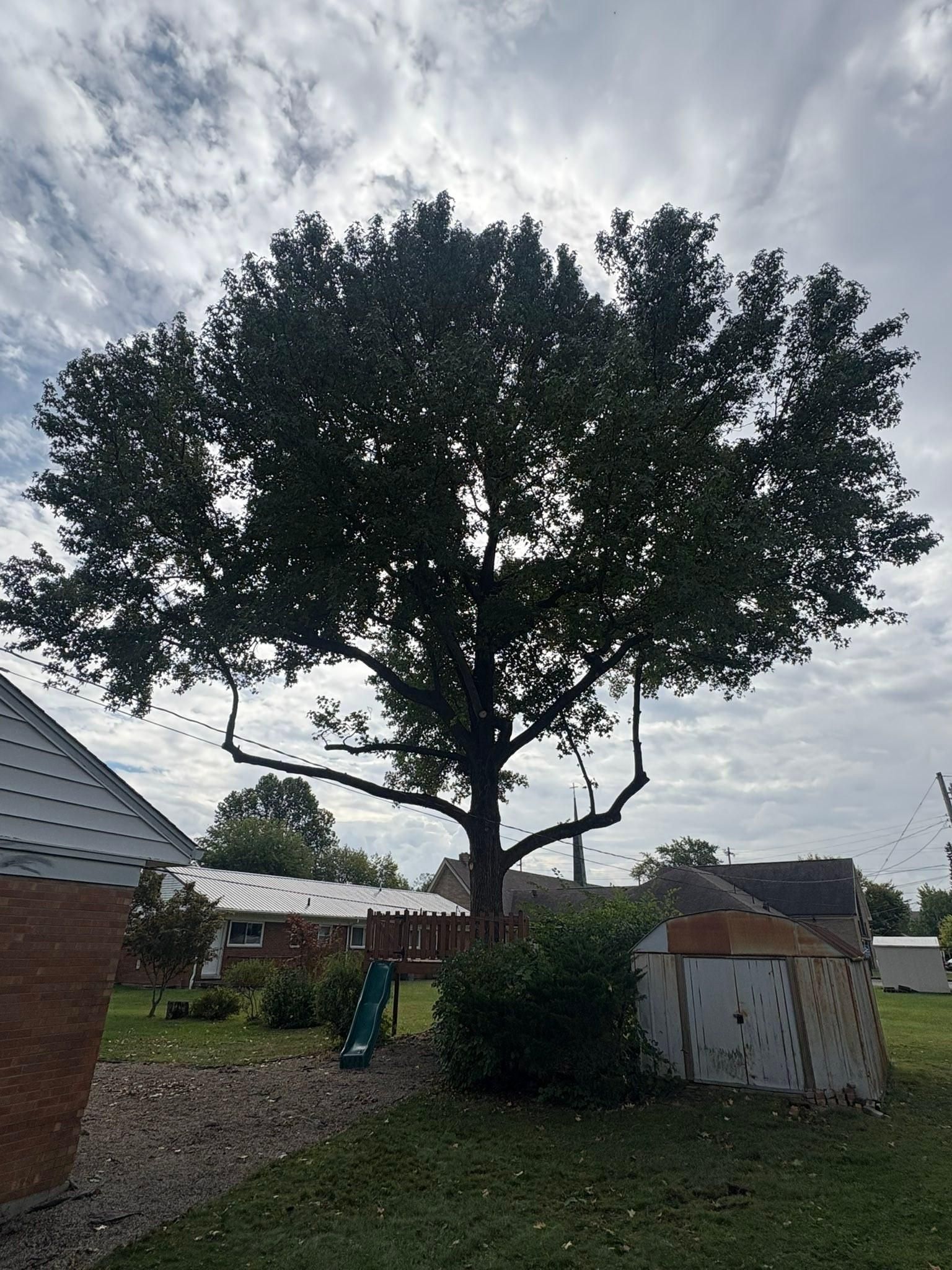  for Dig-It Tree Company in , 