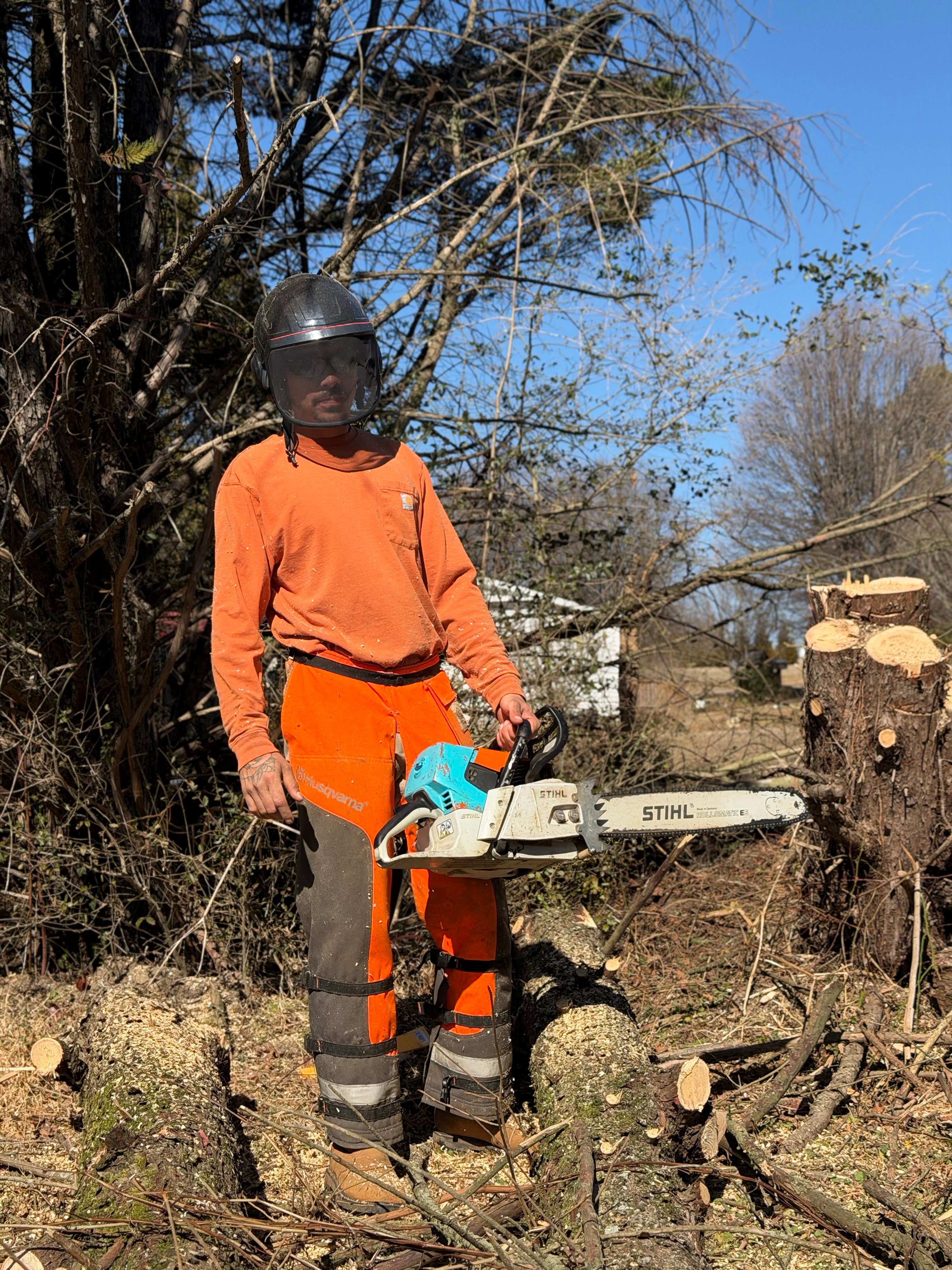 All Photos for Ramirez Tree Care in Elkin, NC