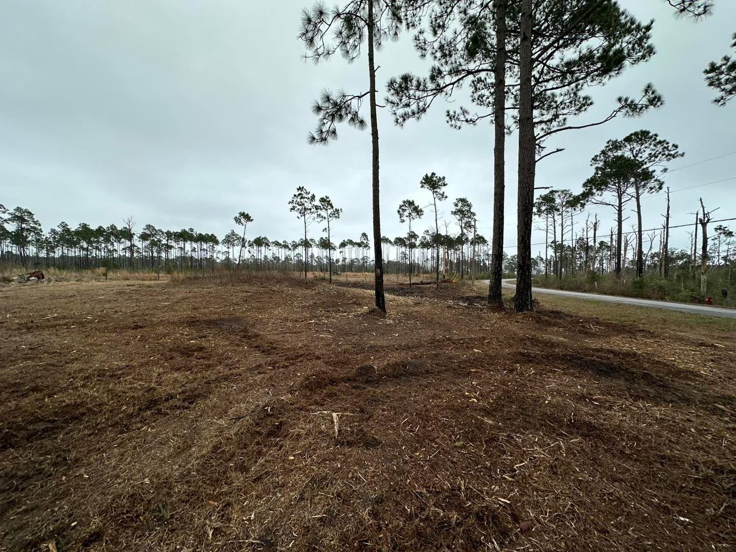  for White’s Land Maintenance in Milton,, FL