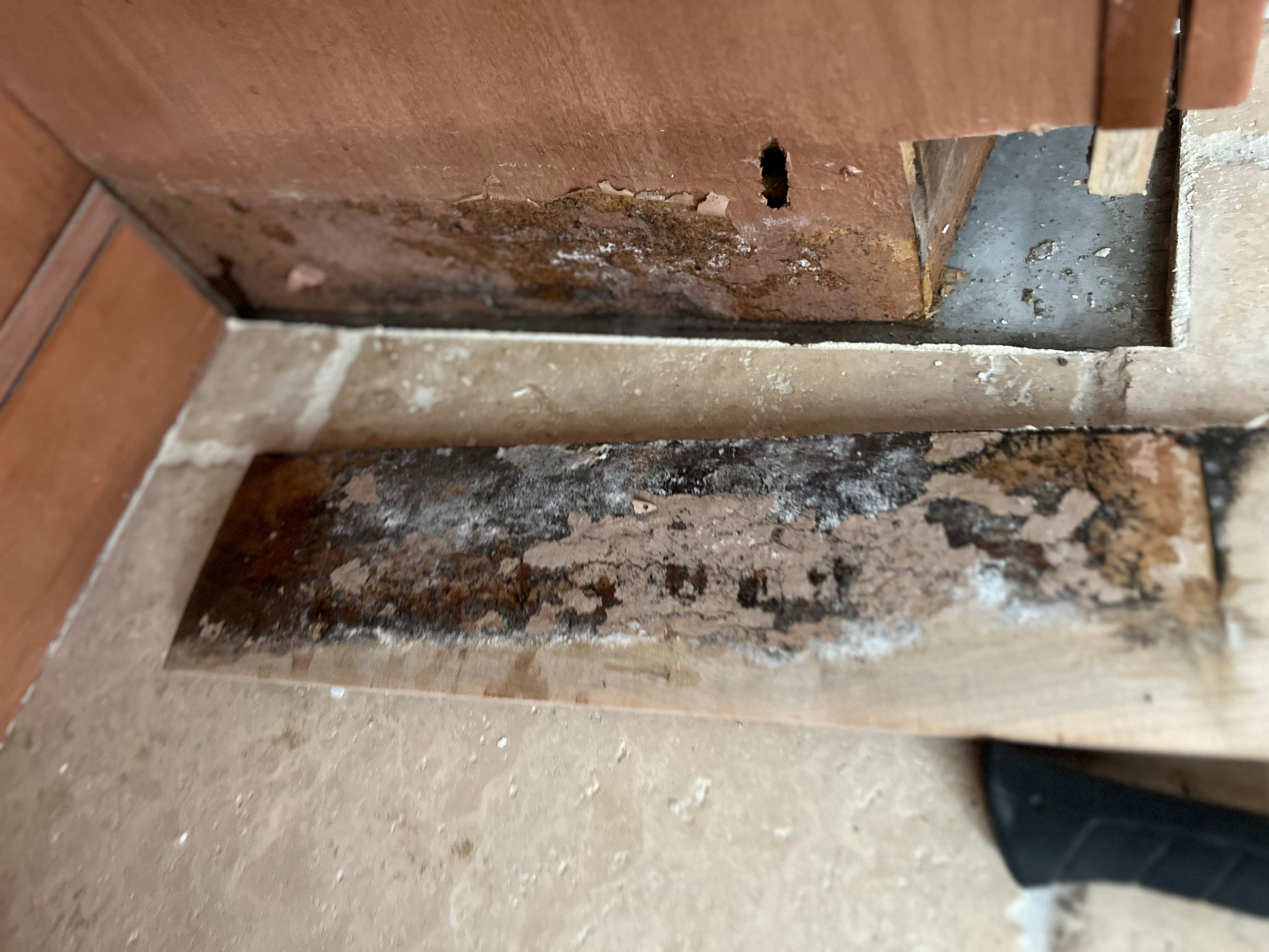  for N&D Restoration Services When Disaster Strikes, We Come In in Cape Coral,  FL