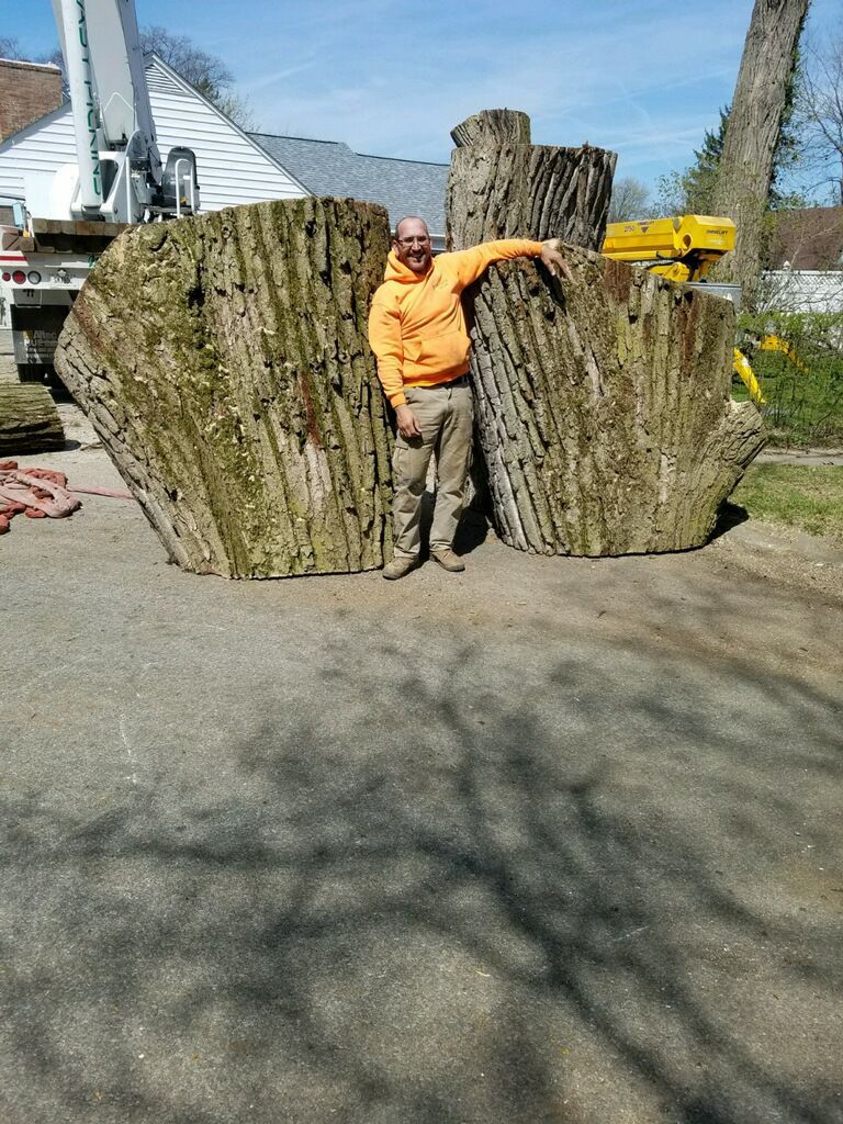 Tree Removal for Advanced Tree Solutions in Rockville, IN