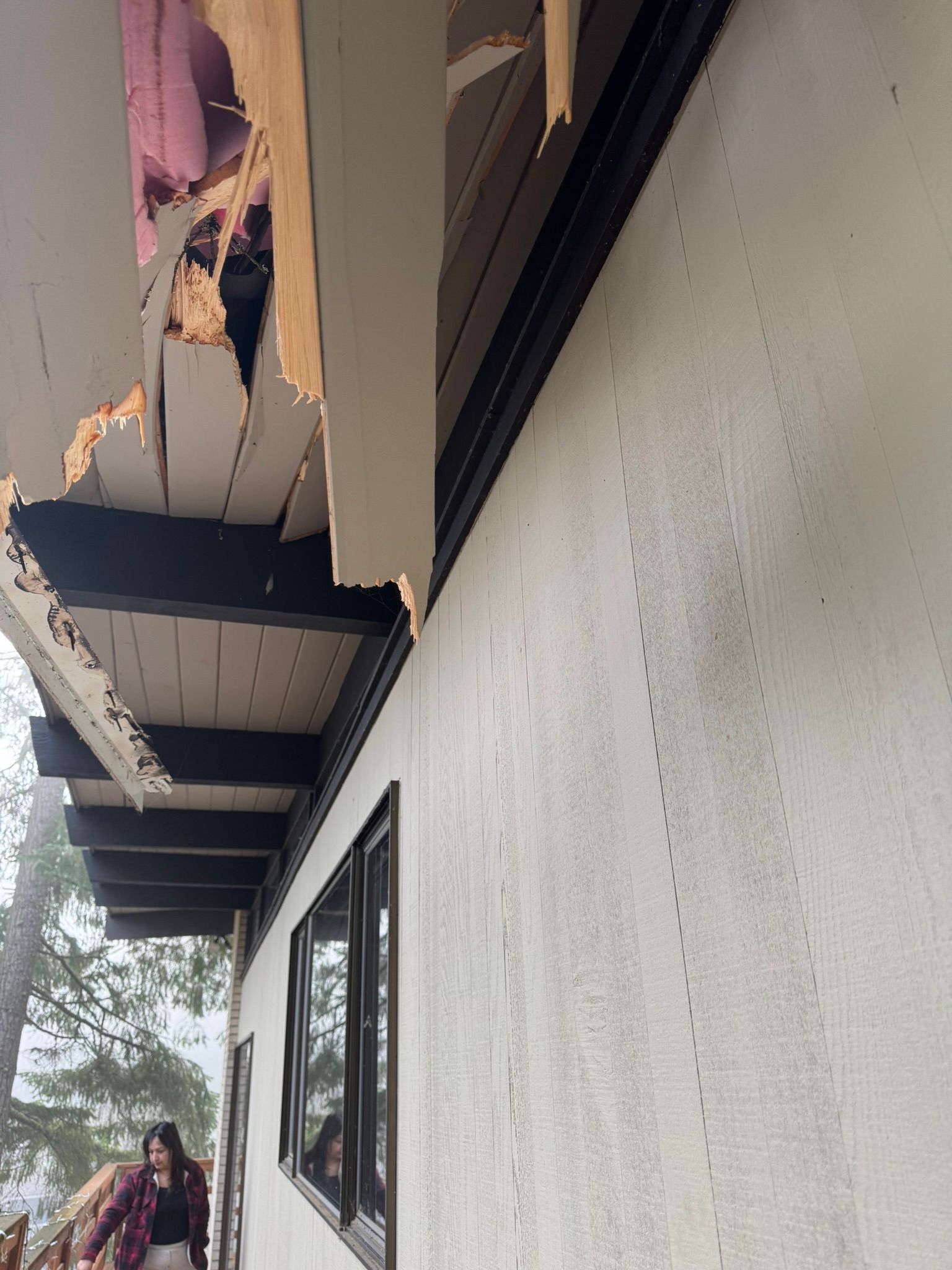  for Tony's Remodeling & Painting in Renton, WA