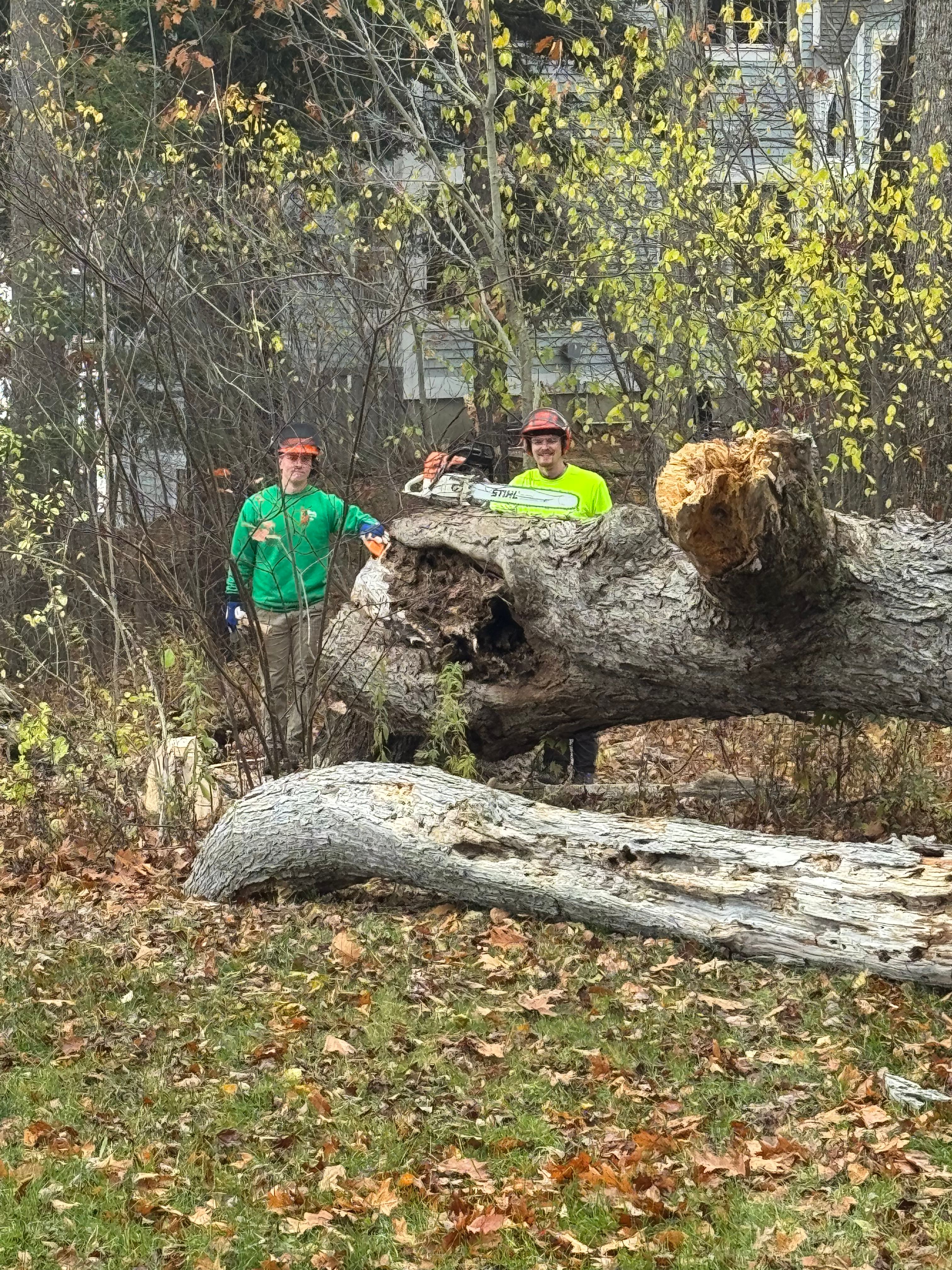  for Clifford’s Quality Tree Care & Landscaping in Enfield, NH