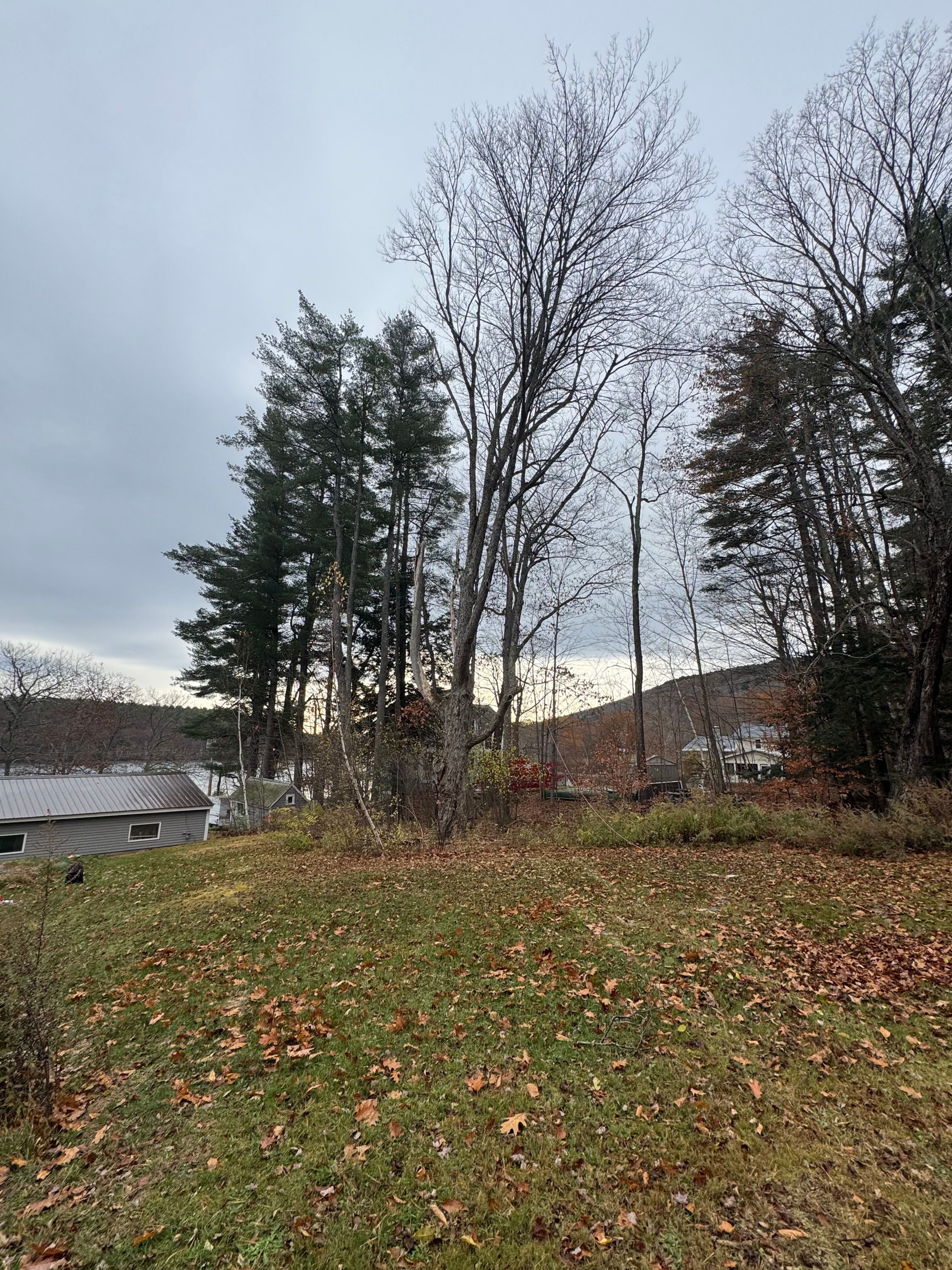  for Clifford’s Quality Tree Care & Landscaping in Enfield, NH