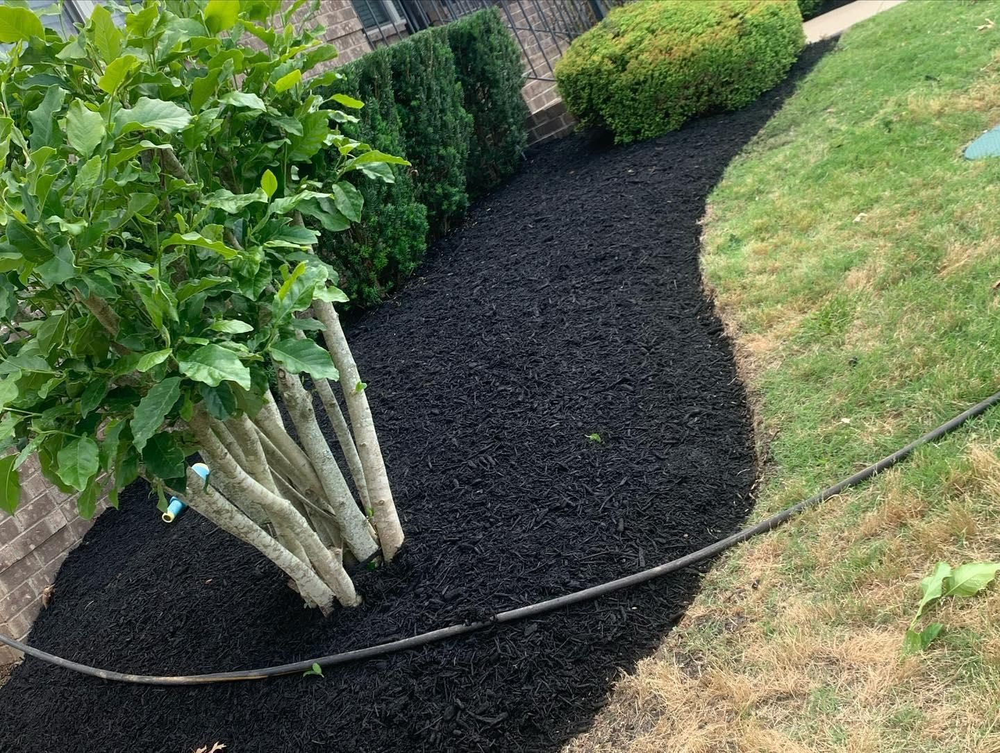  for The Right Price Right Choice Lawn Care Services in Murfreesboro, TN