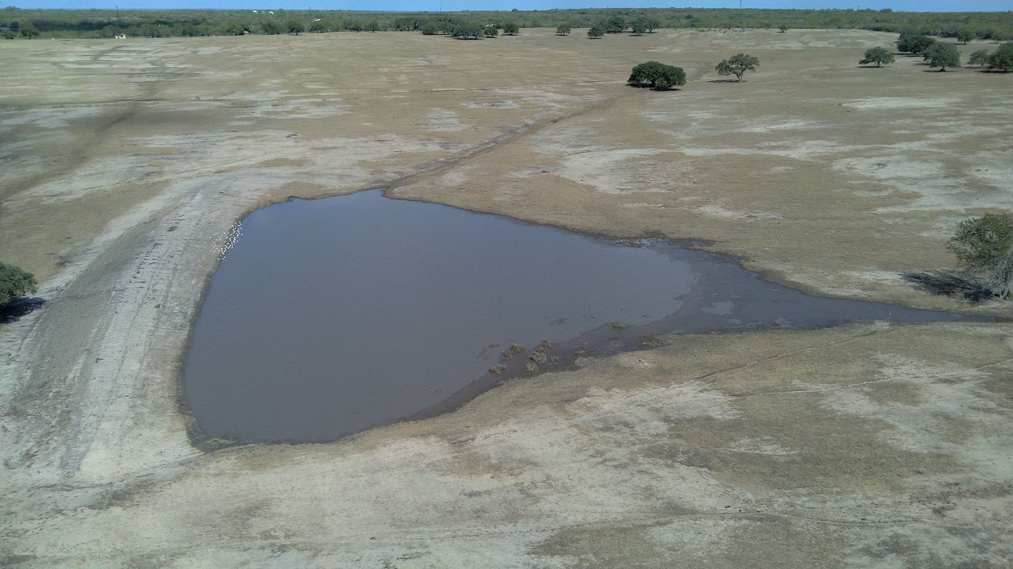  for Strause Land Improvement & Construction in George West, TX