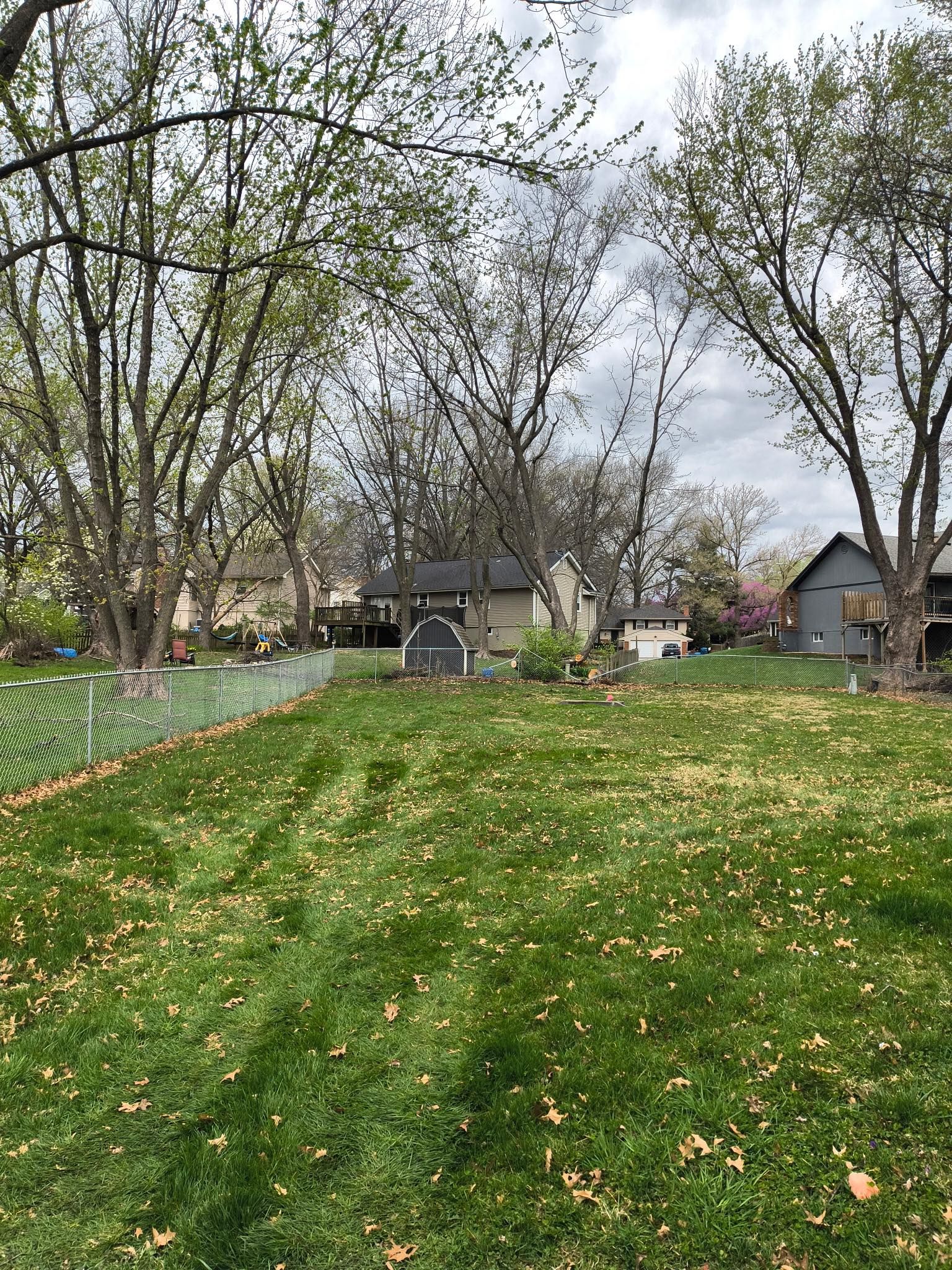 Tree Removal for Cross Family Tree Service in Kearney, MO