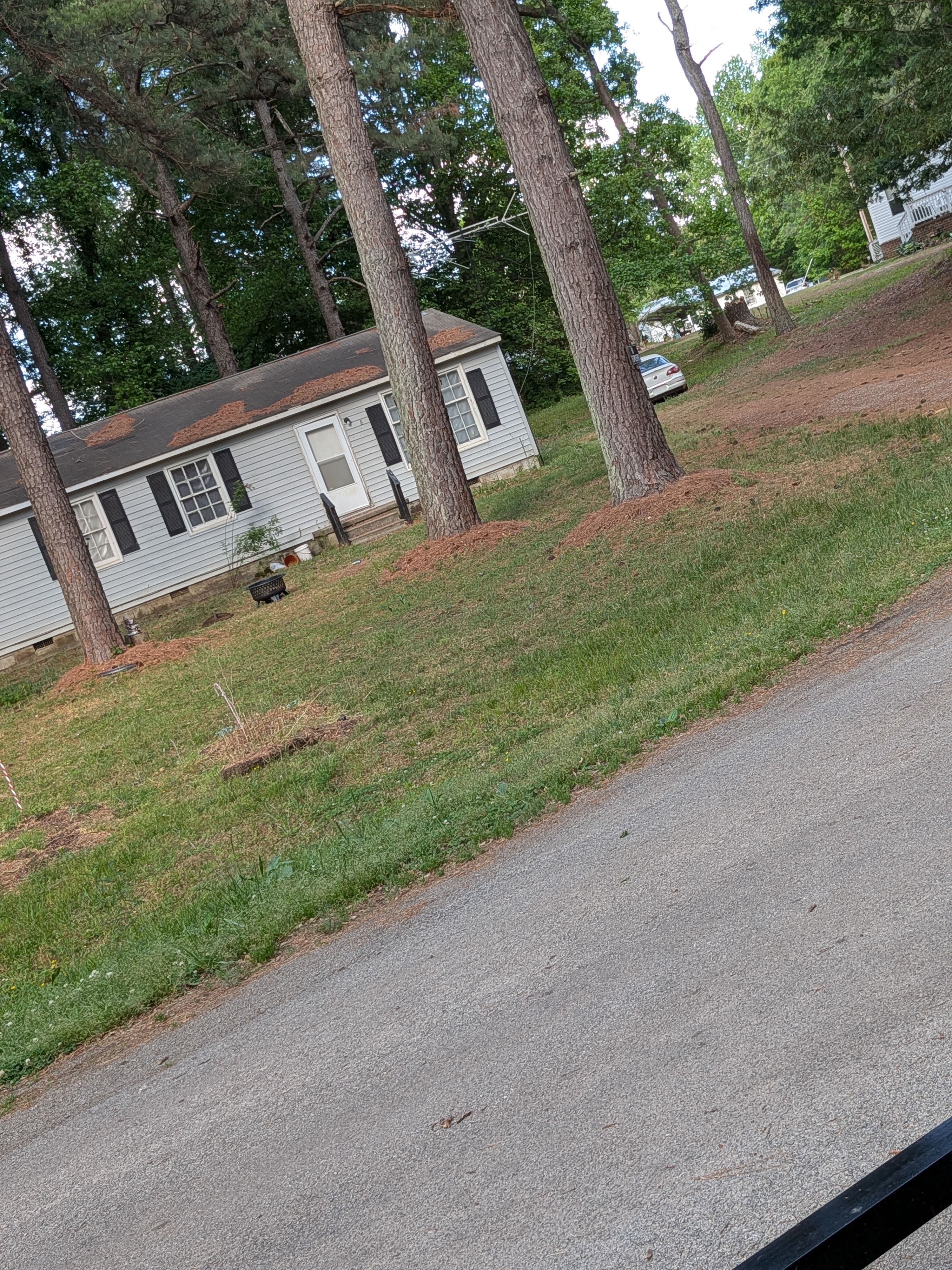 All Photos for LawnTherapy in Lawrenceville, VA