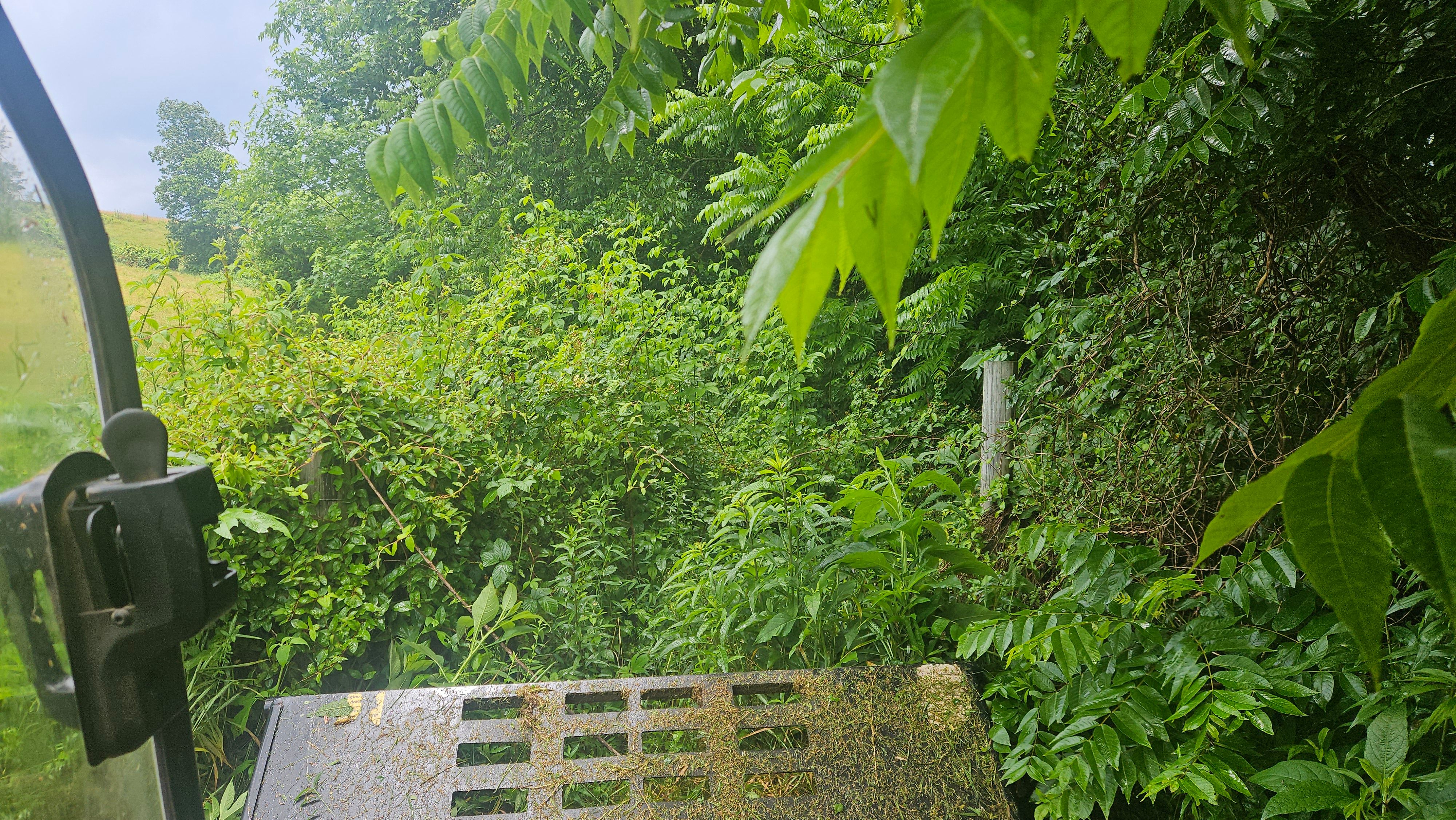 All Photos for B&B Land Management in Jamestown, TN