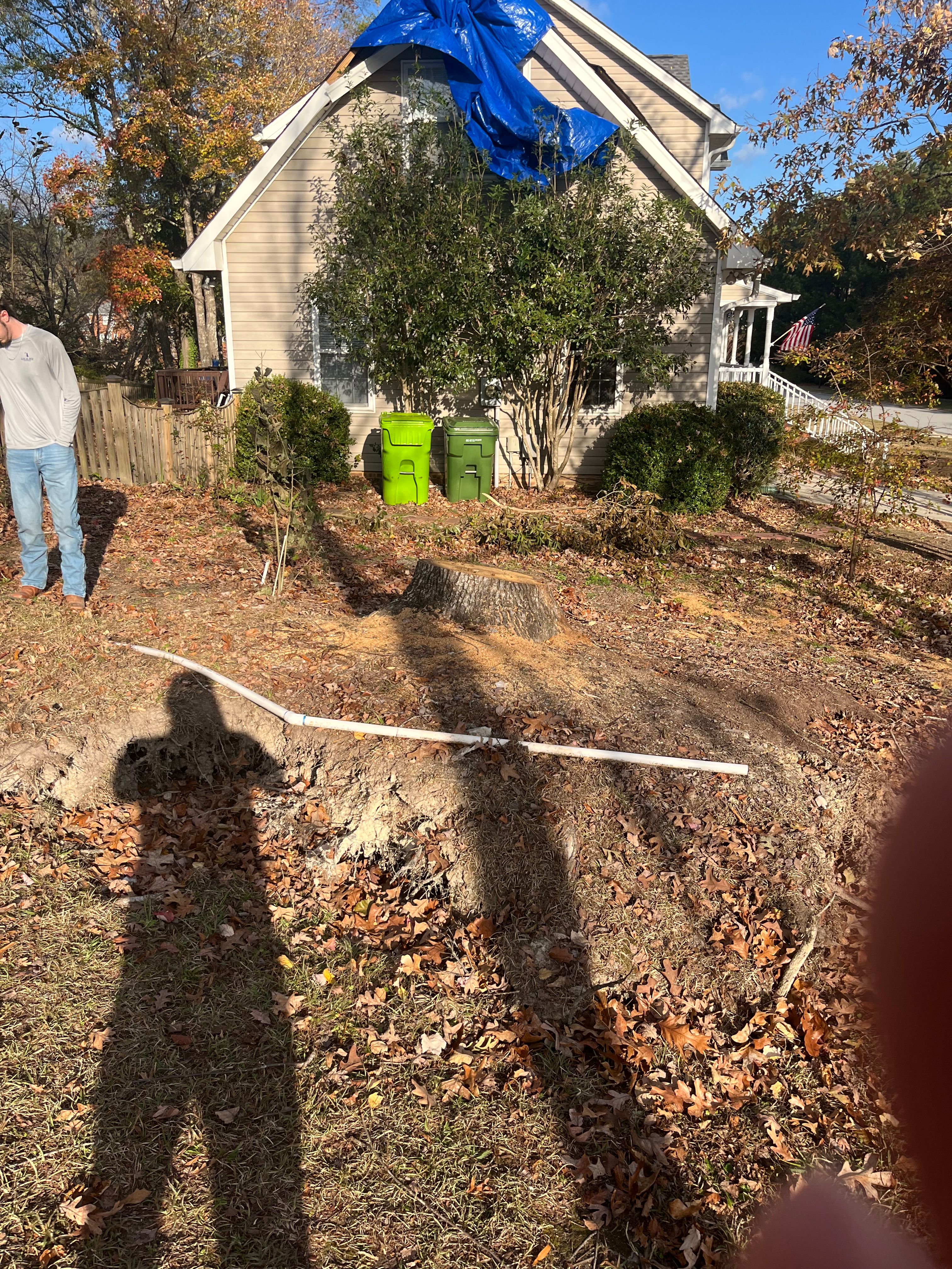 All Photos for Otis Lee Stump Grinding LLC in Elgin, SC