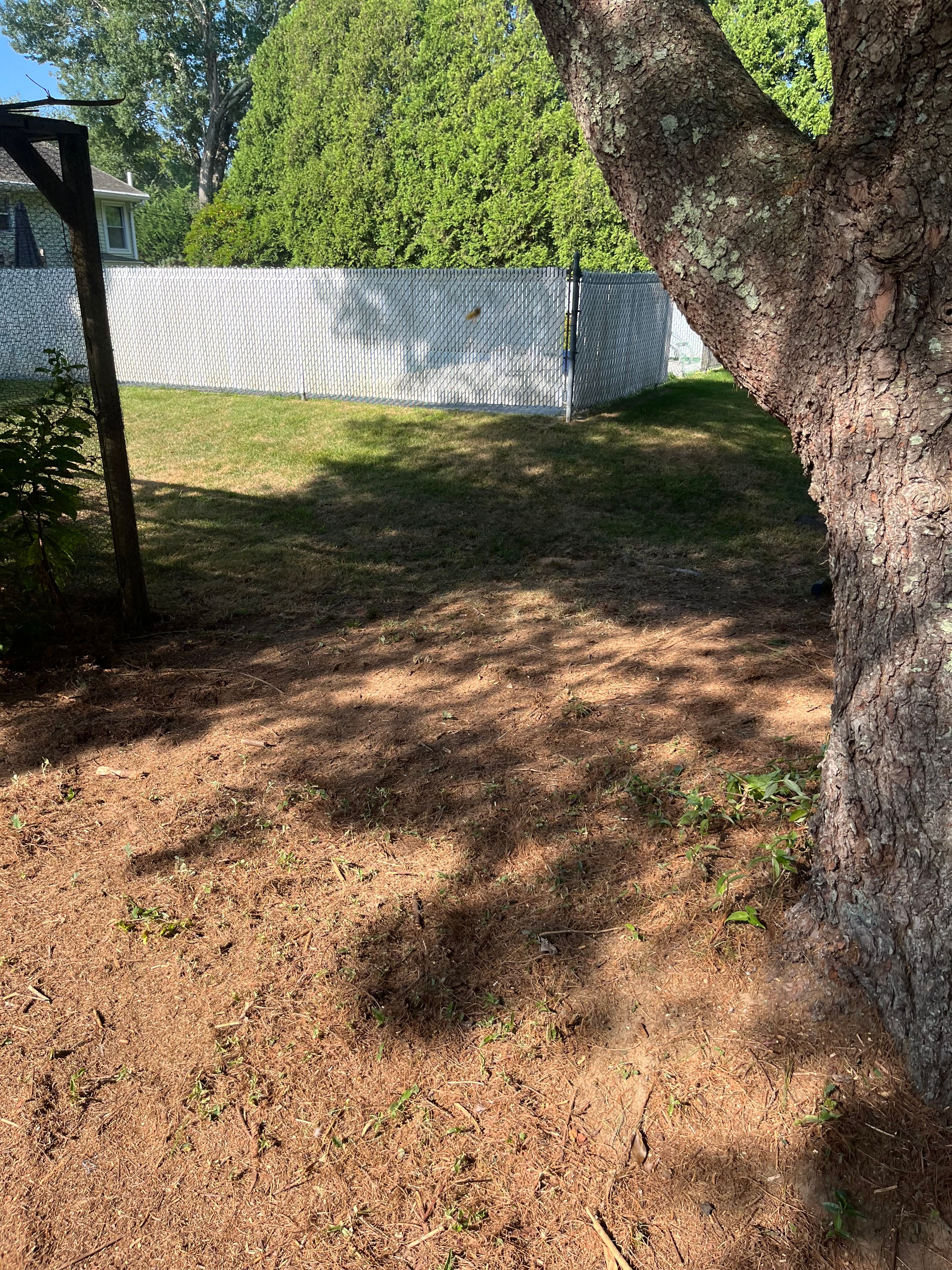  for Evolution Landscaping and Construction  in Charlestown, RI