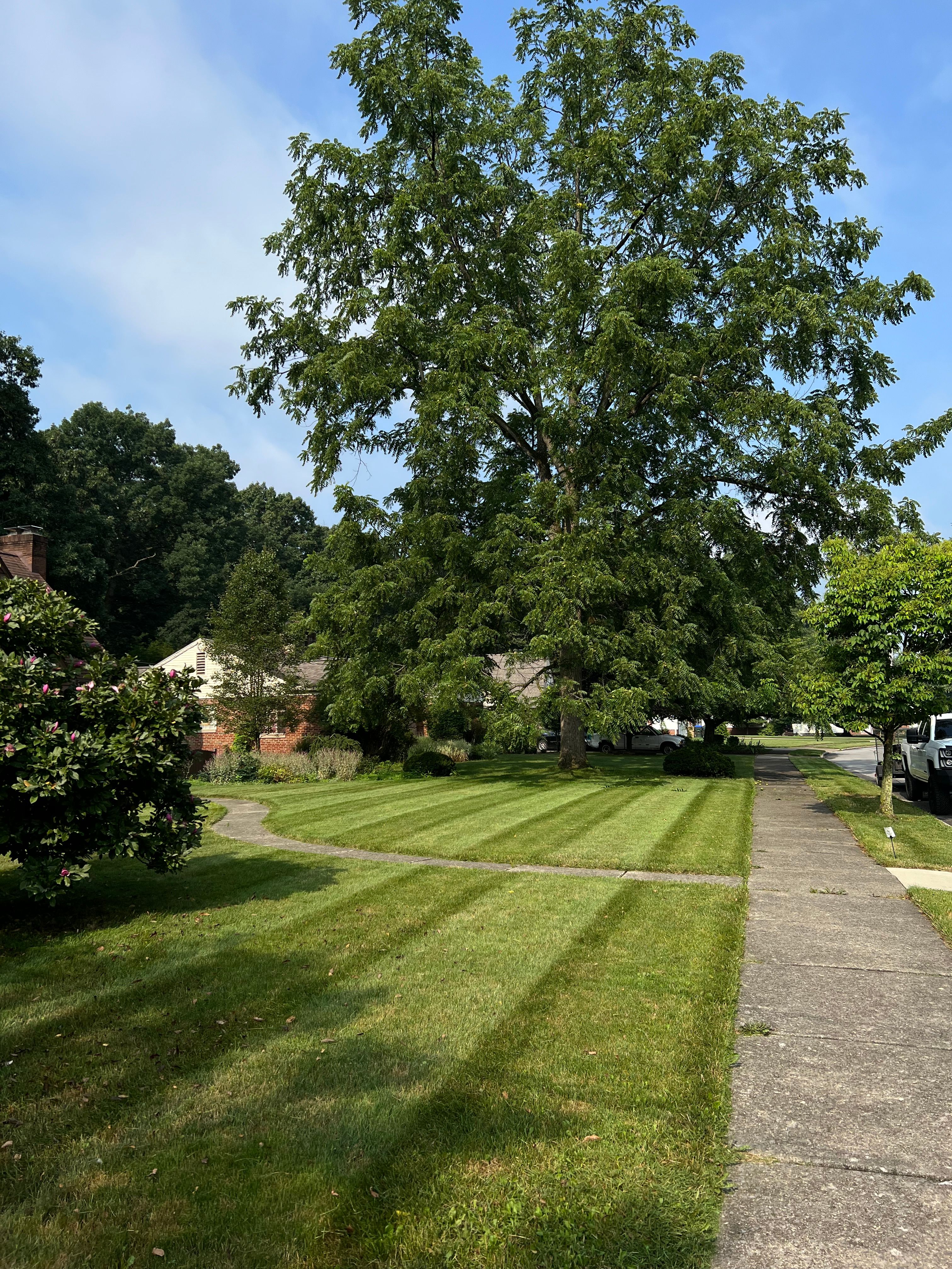  for Tactical Stripes Lawn care in Uniontown, OH