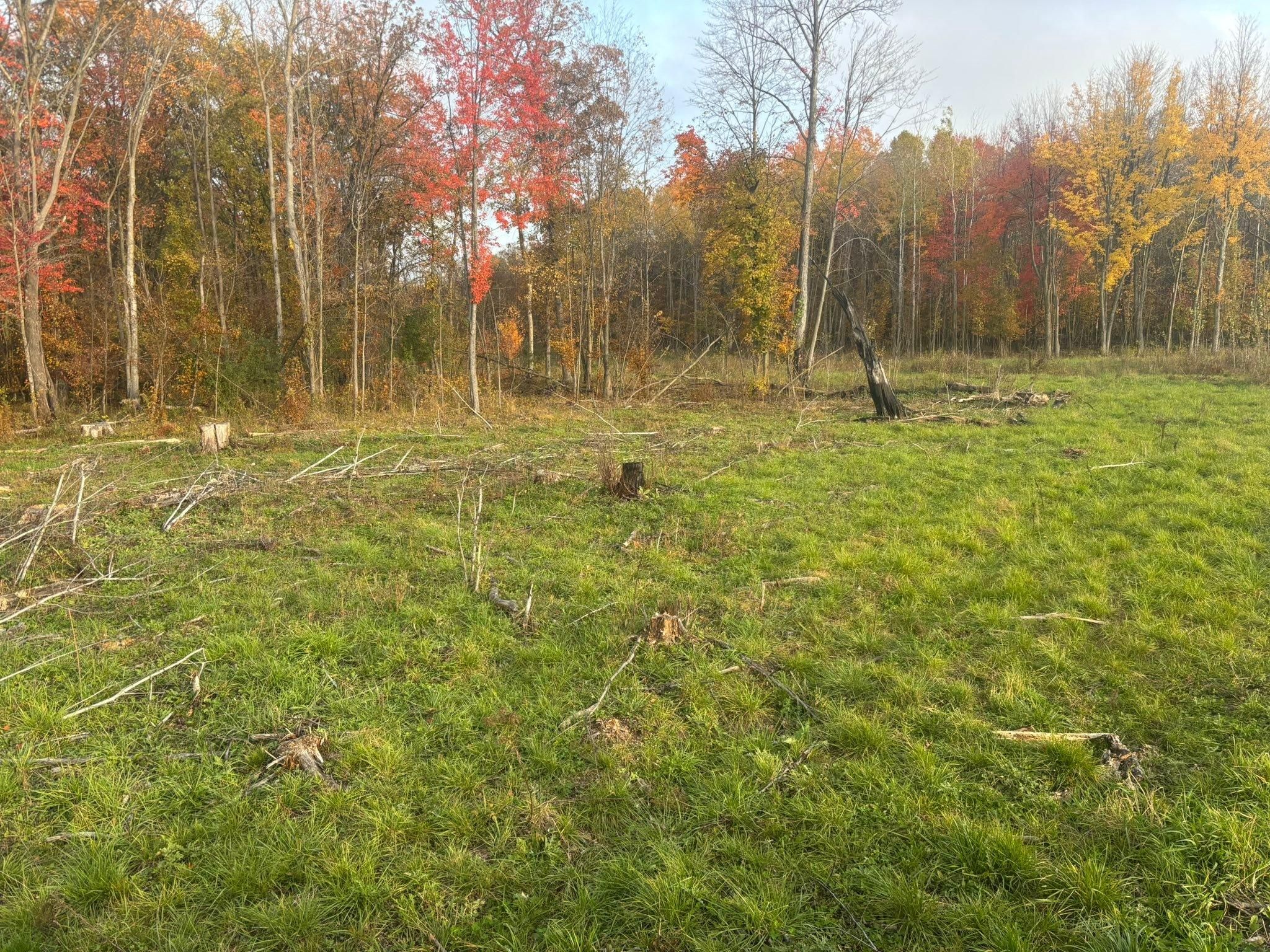  for Premier Services in New London, MN