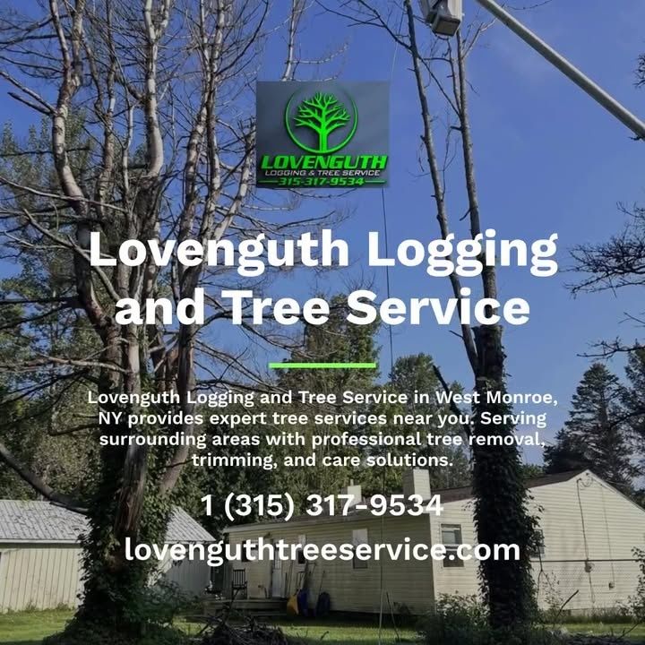  for Lovenguth Logging and Tree Service in West Monroe, NY
