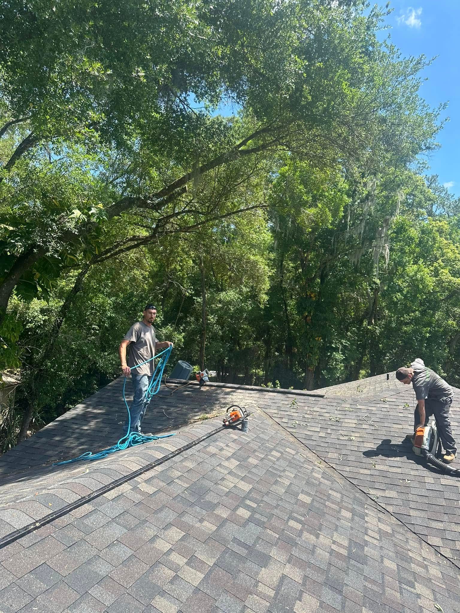  for Narrow Path Tree Service in Deland, FL