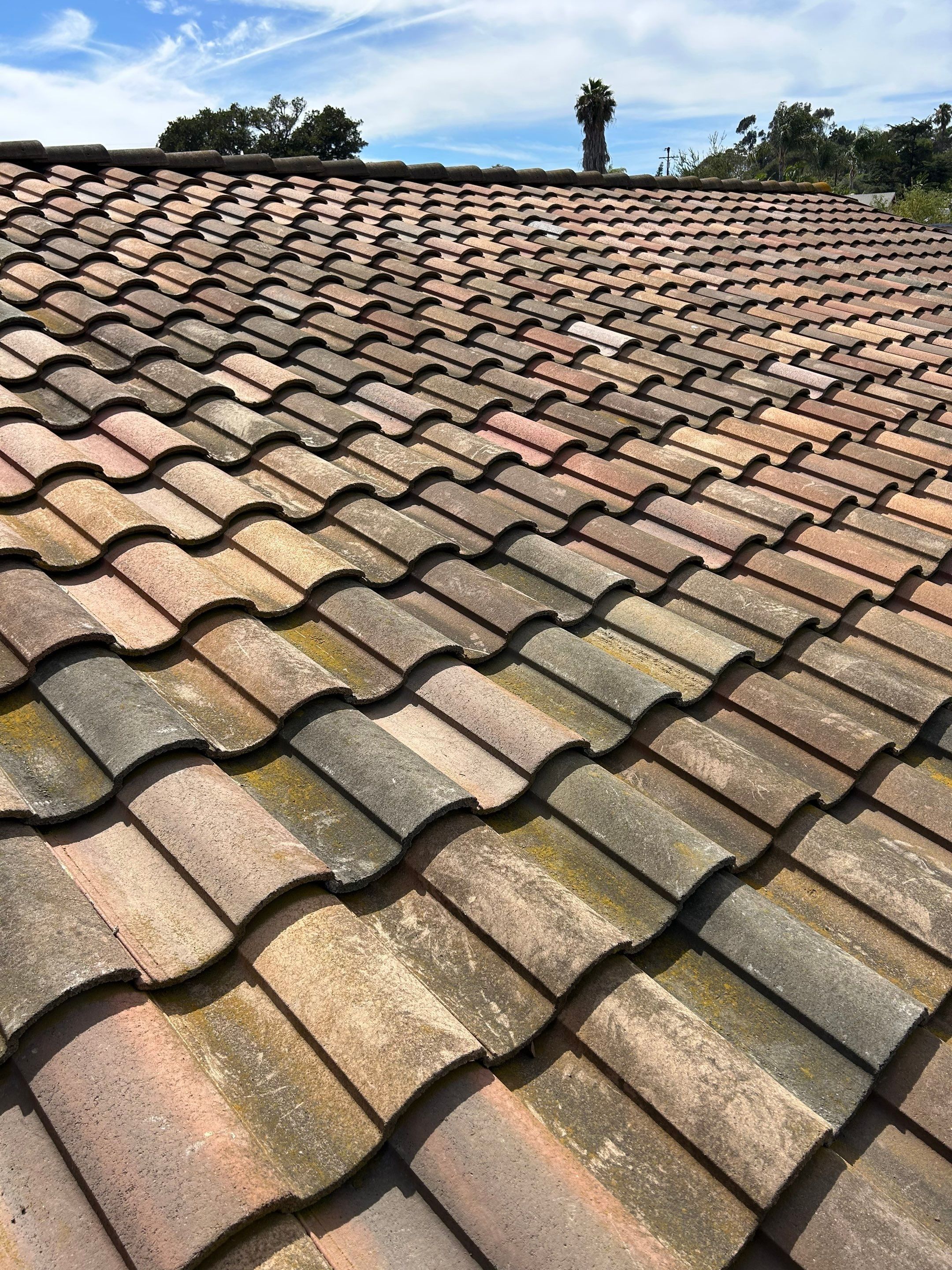 All Photos for Mister Roofing Inc in Bonita, CA