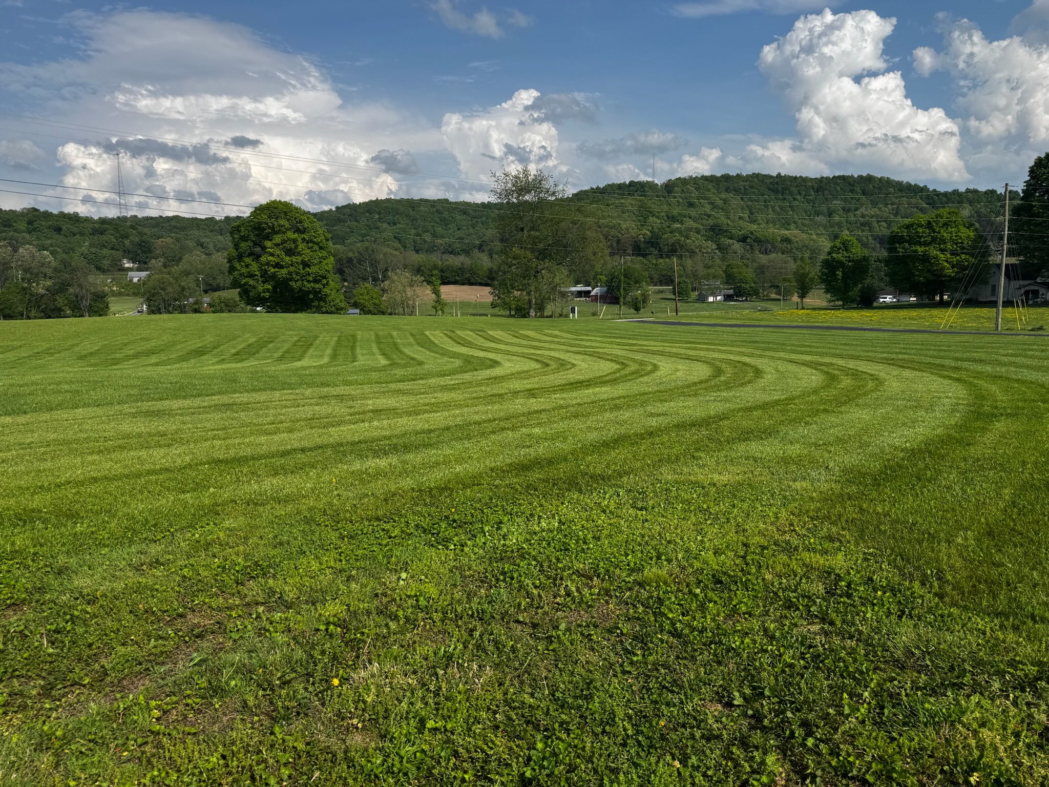  for Hale’s Hydroseeding in London, KY