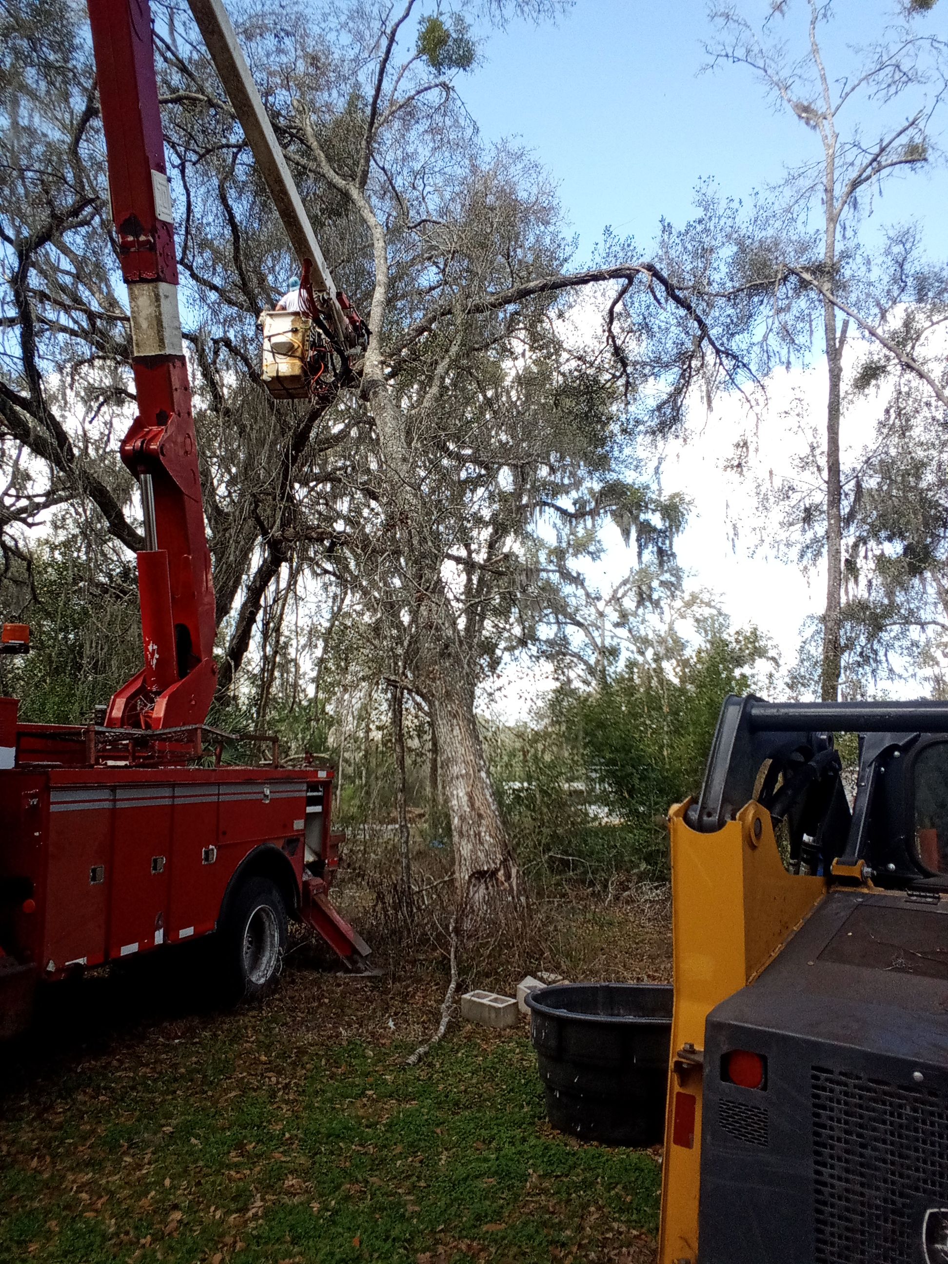 All Photos for Asbell's Tree & Land Services in Gilchrist County, FL