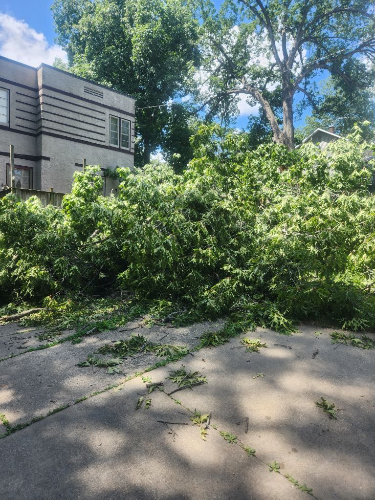  for Lawn Ranger Yard And Tree Service LLC in Ottumwa, IA