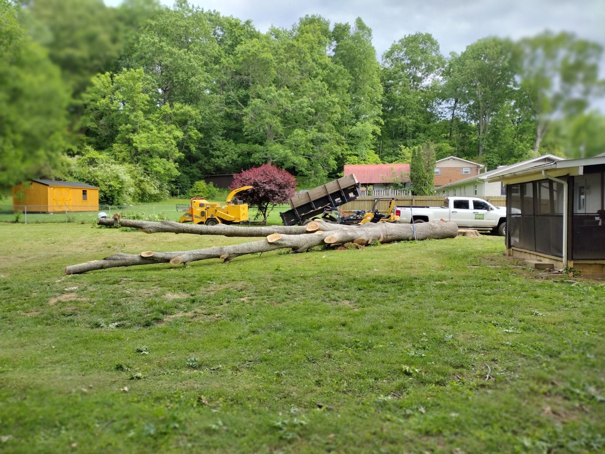 Tree Removal for Rush Tree Specialist in Knoxville, TN