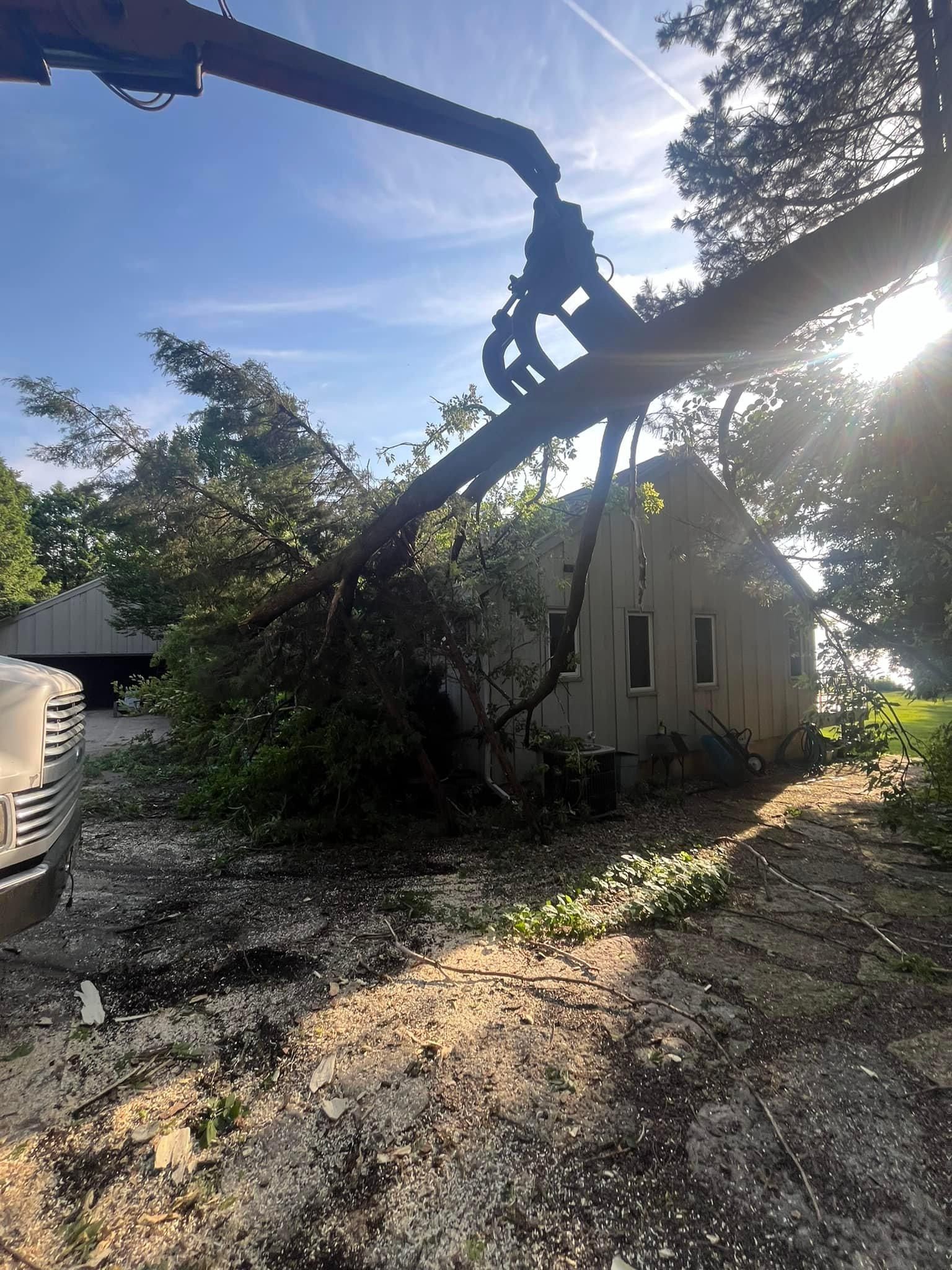  for Tree-B-Gone in Appleton, WI