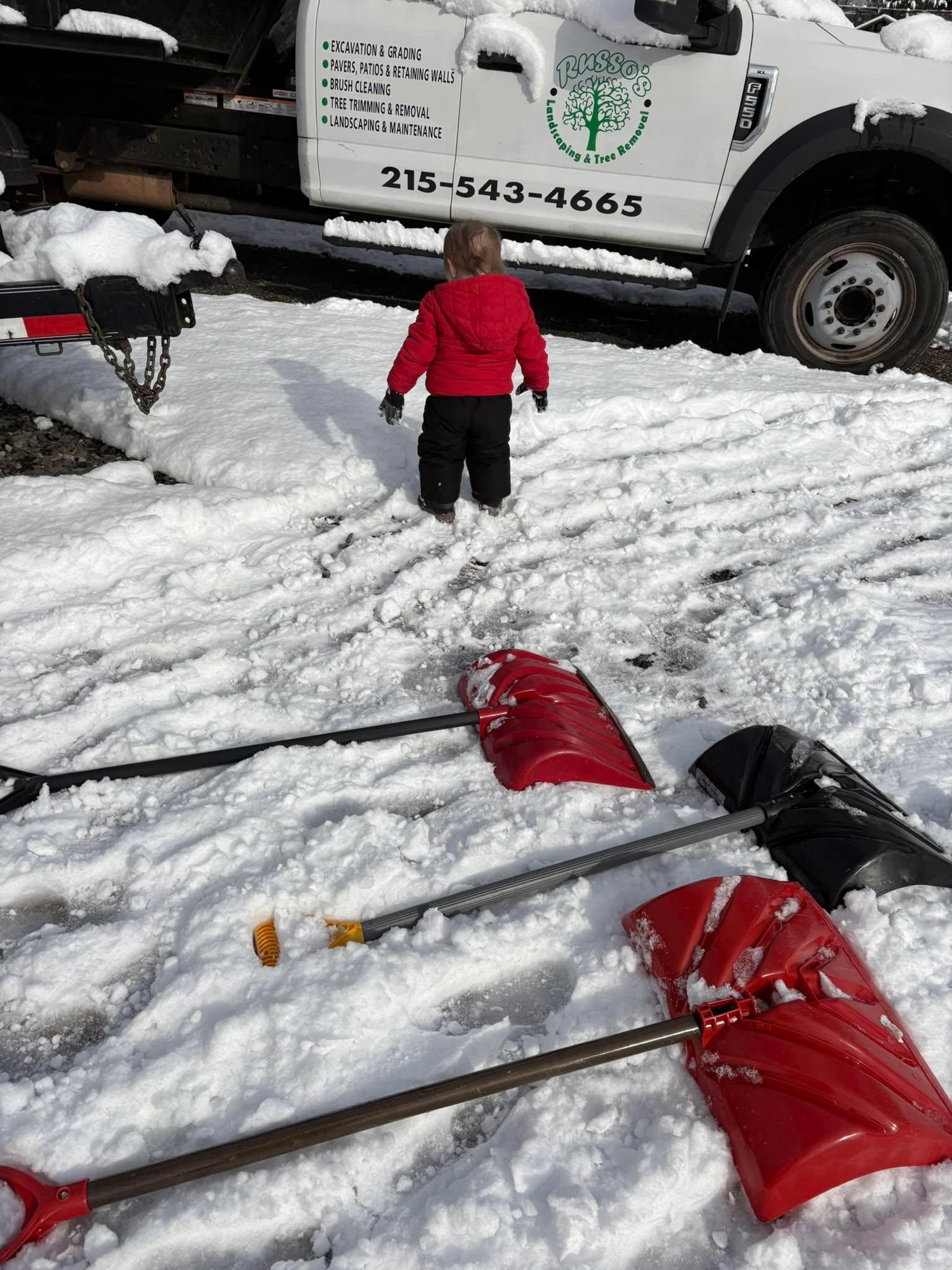  for Russo’s Landscaping & Tree Removal in Levittown, PA