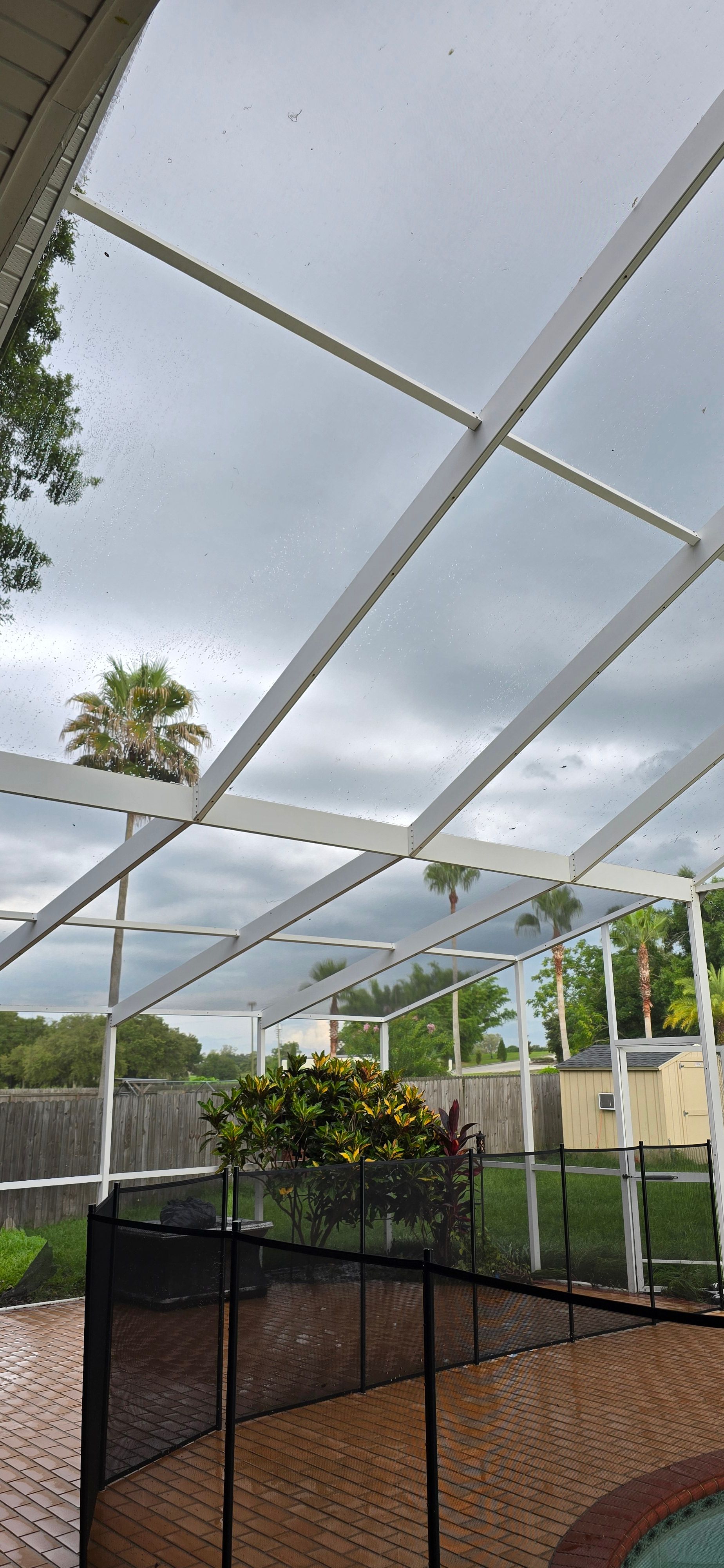  for Blue Stream Roof Cleaning & Pressure Washing in Tampa, FL