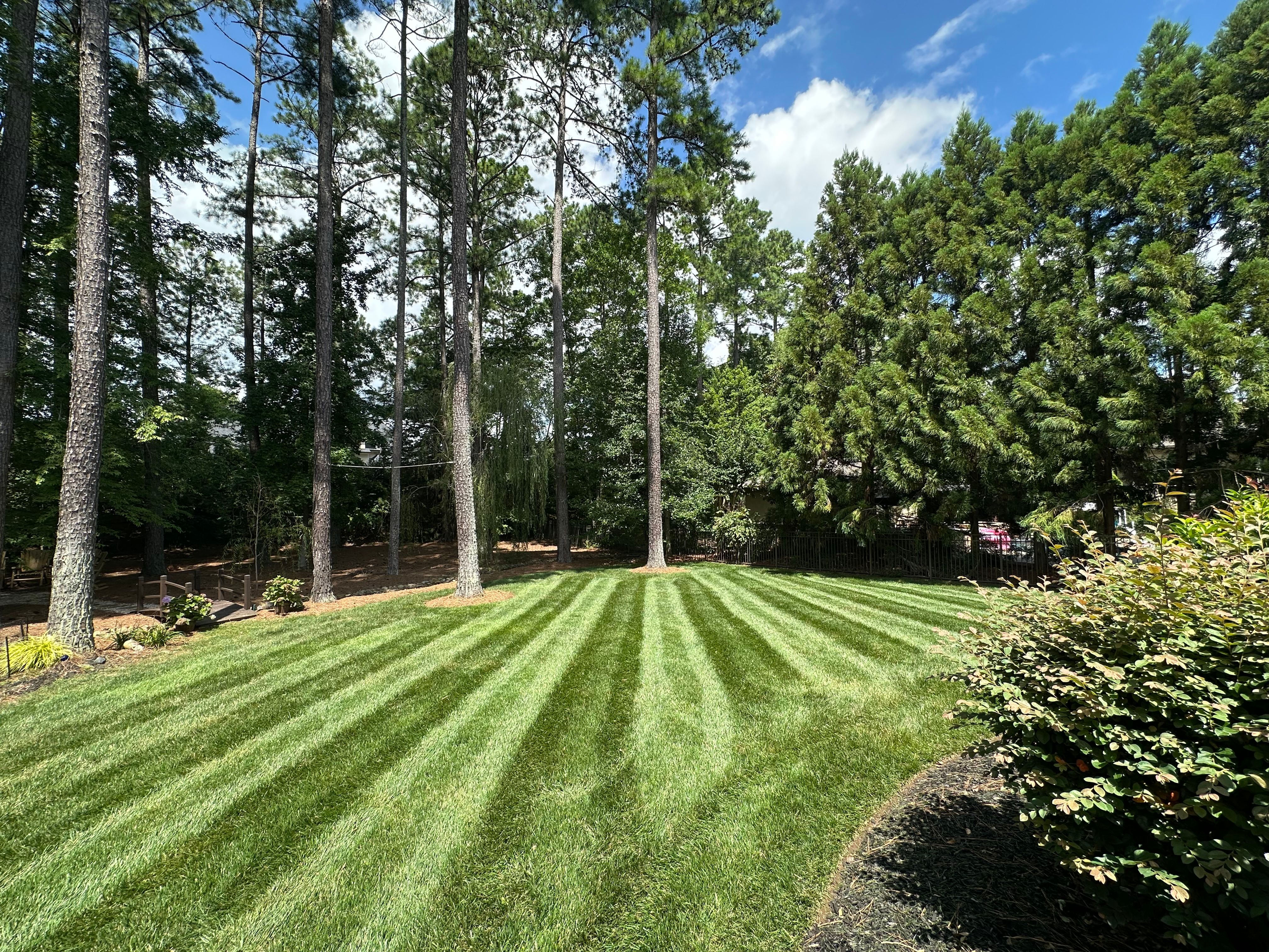  for Pecina Pine Needles in Monroe, NC