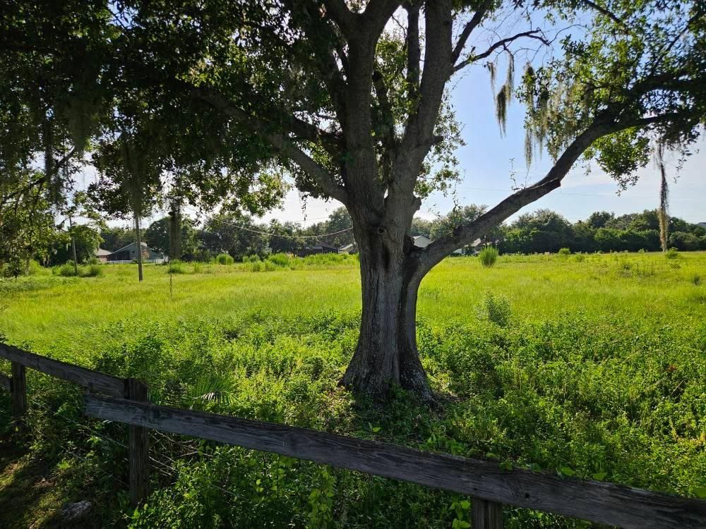  for Bay Area Bobcat in Riverview, FL