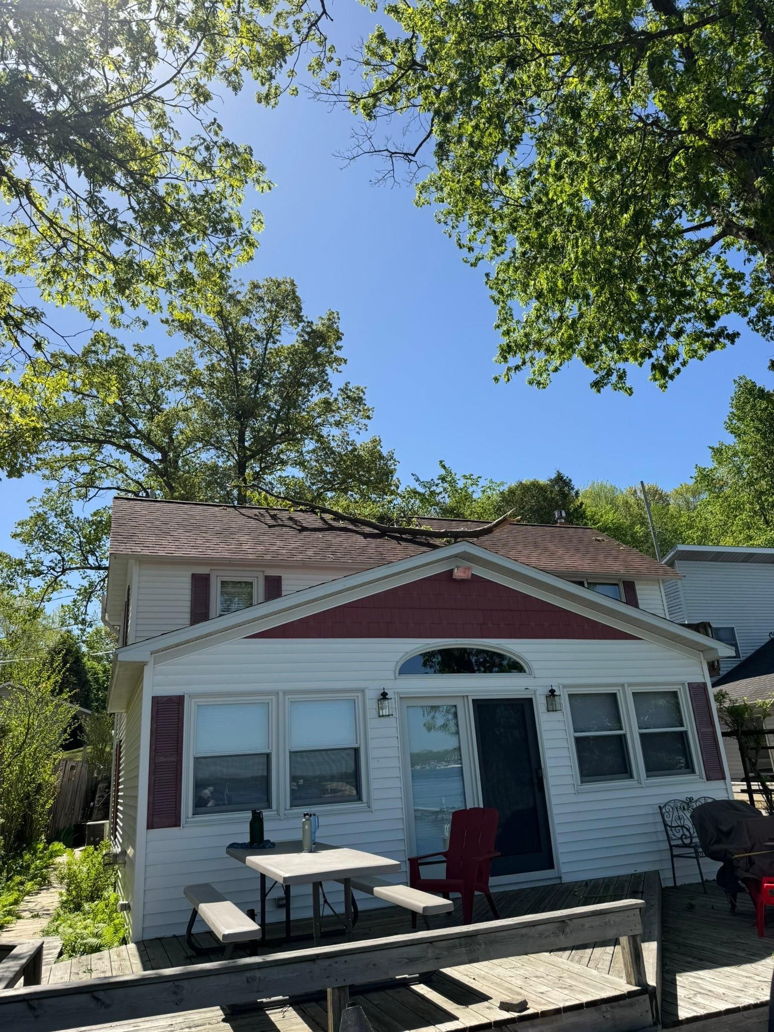  for Branching Out Tree Service in Hastings, MI