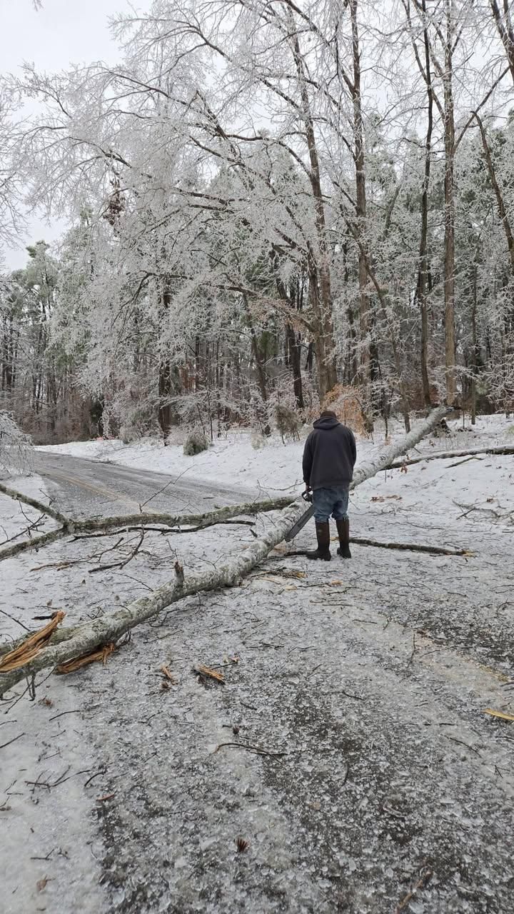  for Jace’s Tree & Stump Removal in Franklin, TN
