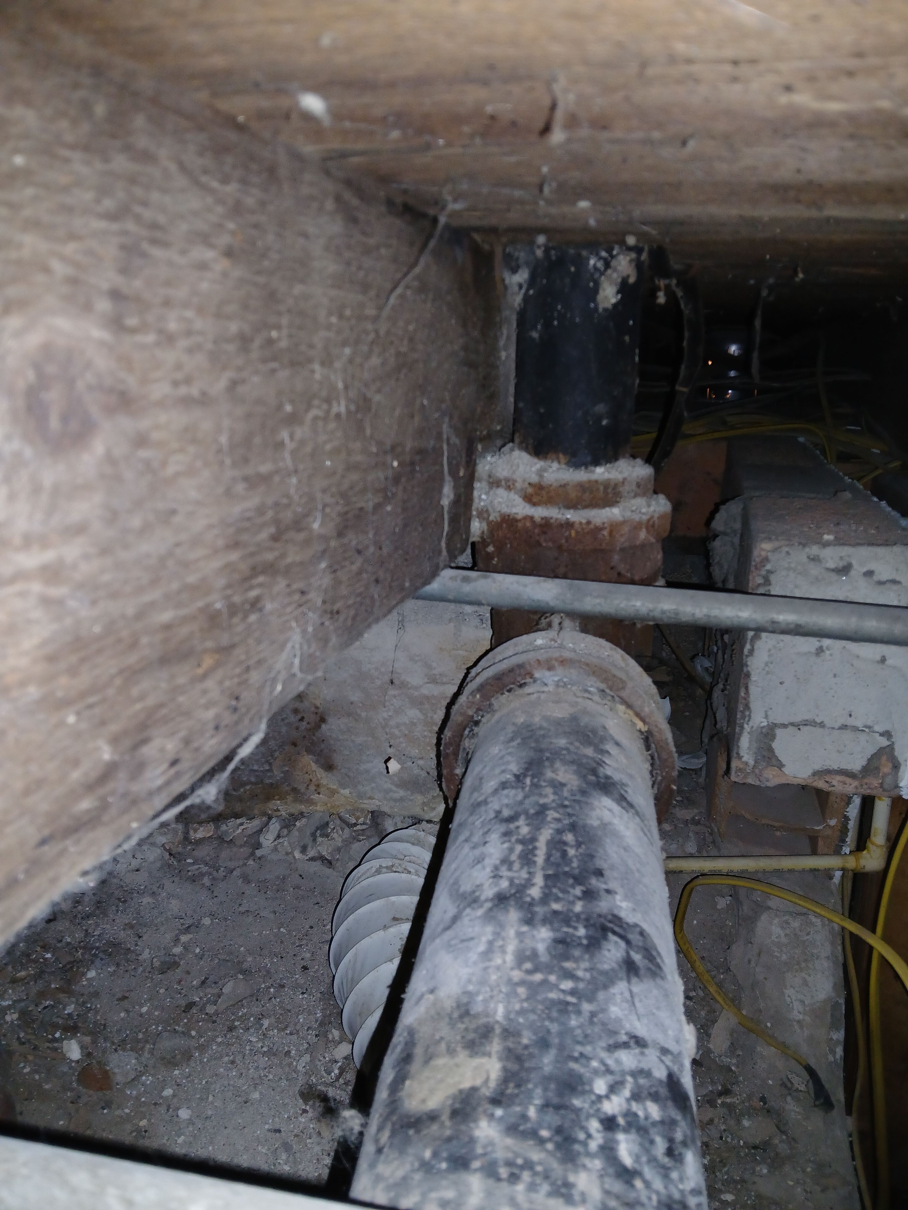  for Dead Tree General Contracting in Carbondale, Illinois