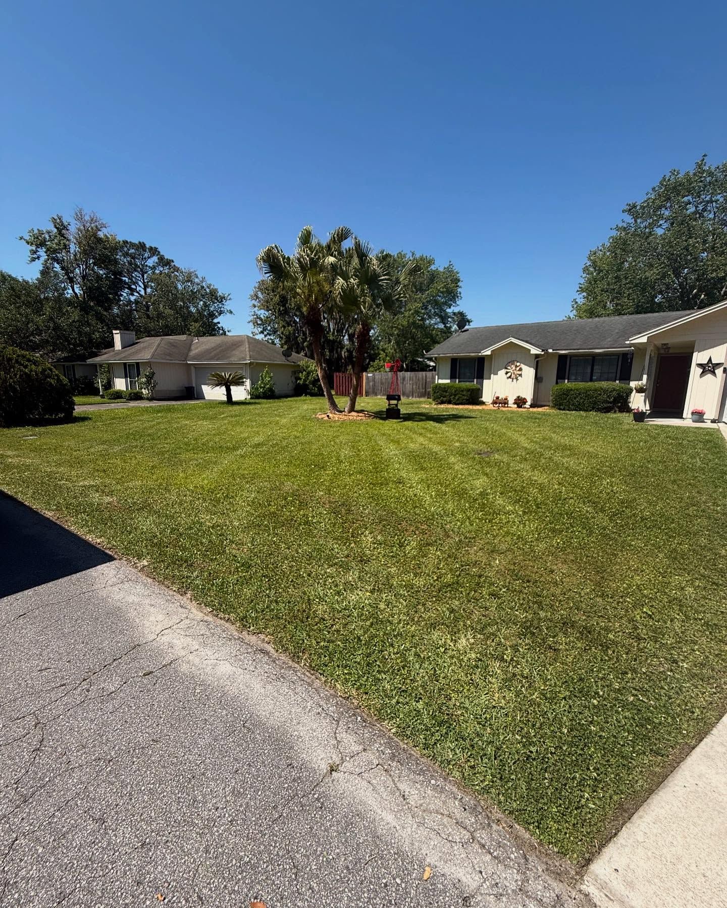  for Whole 9 Yards Services in Green Cove Springs, FL